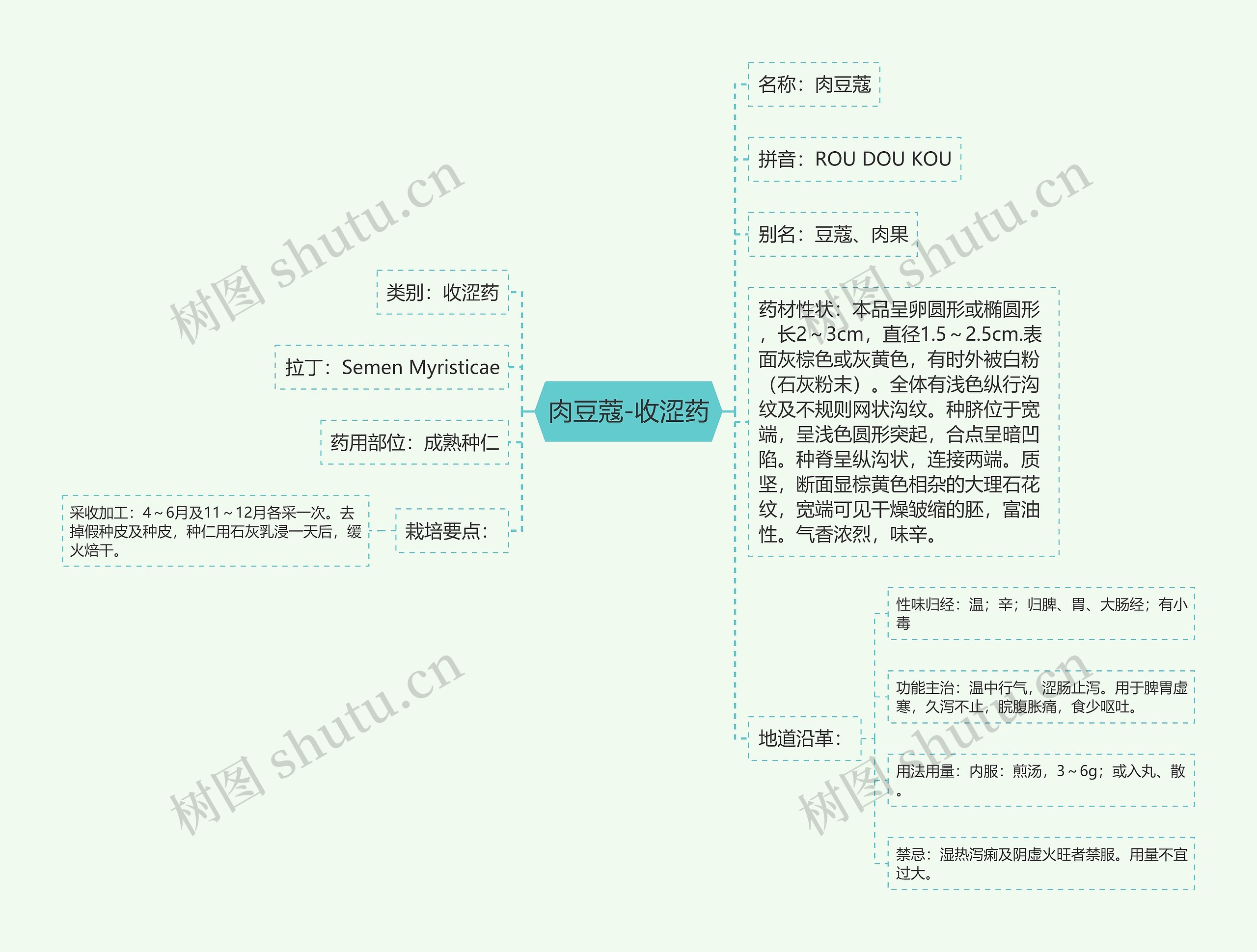 肉豆蔻-收涩药思维导图