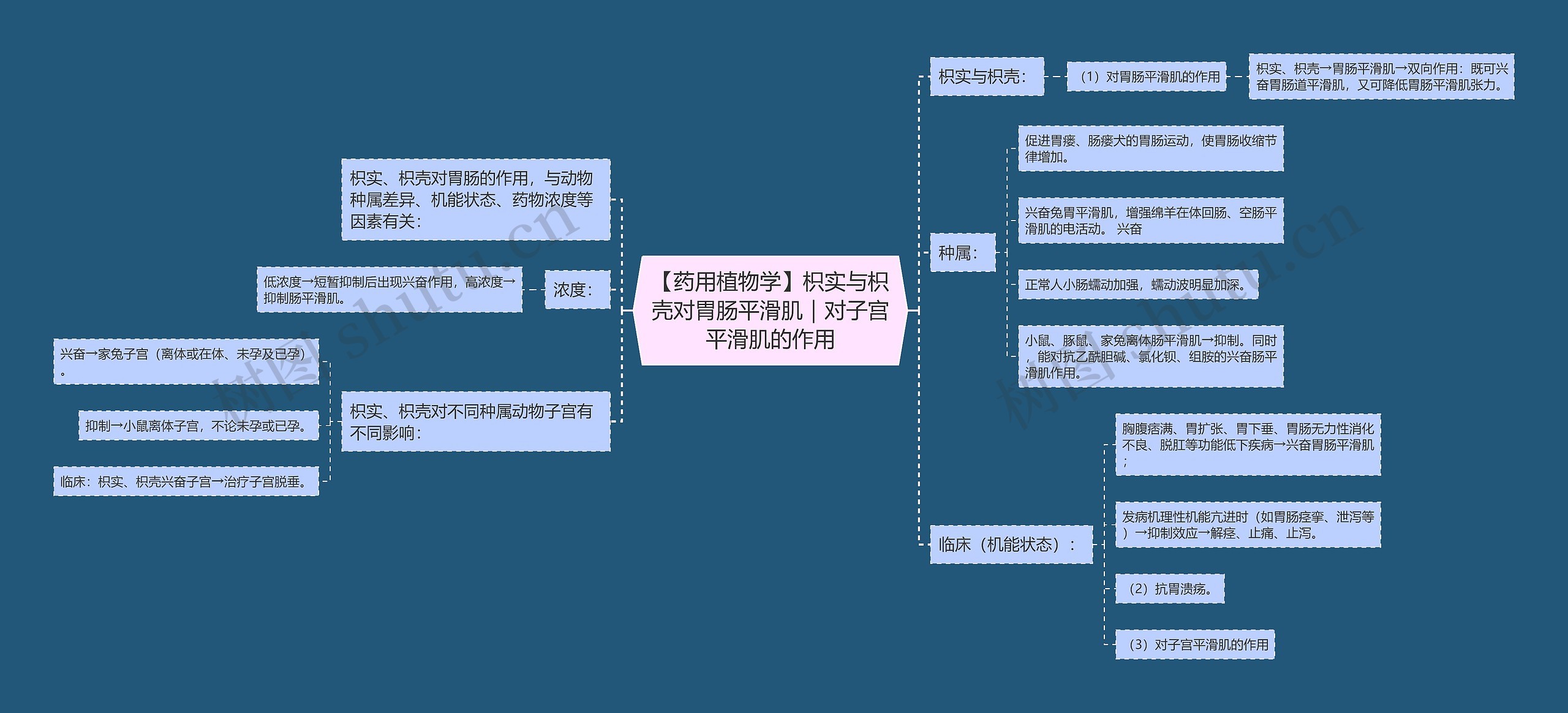 【藥用植物學】枳實與枳殼對胃腸平滑肌|對子宮平滑肌的作用思維導圖