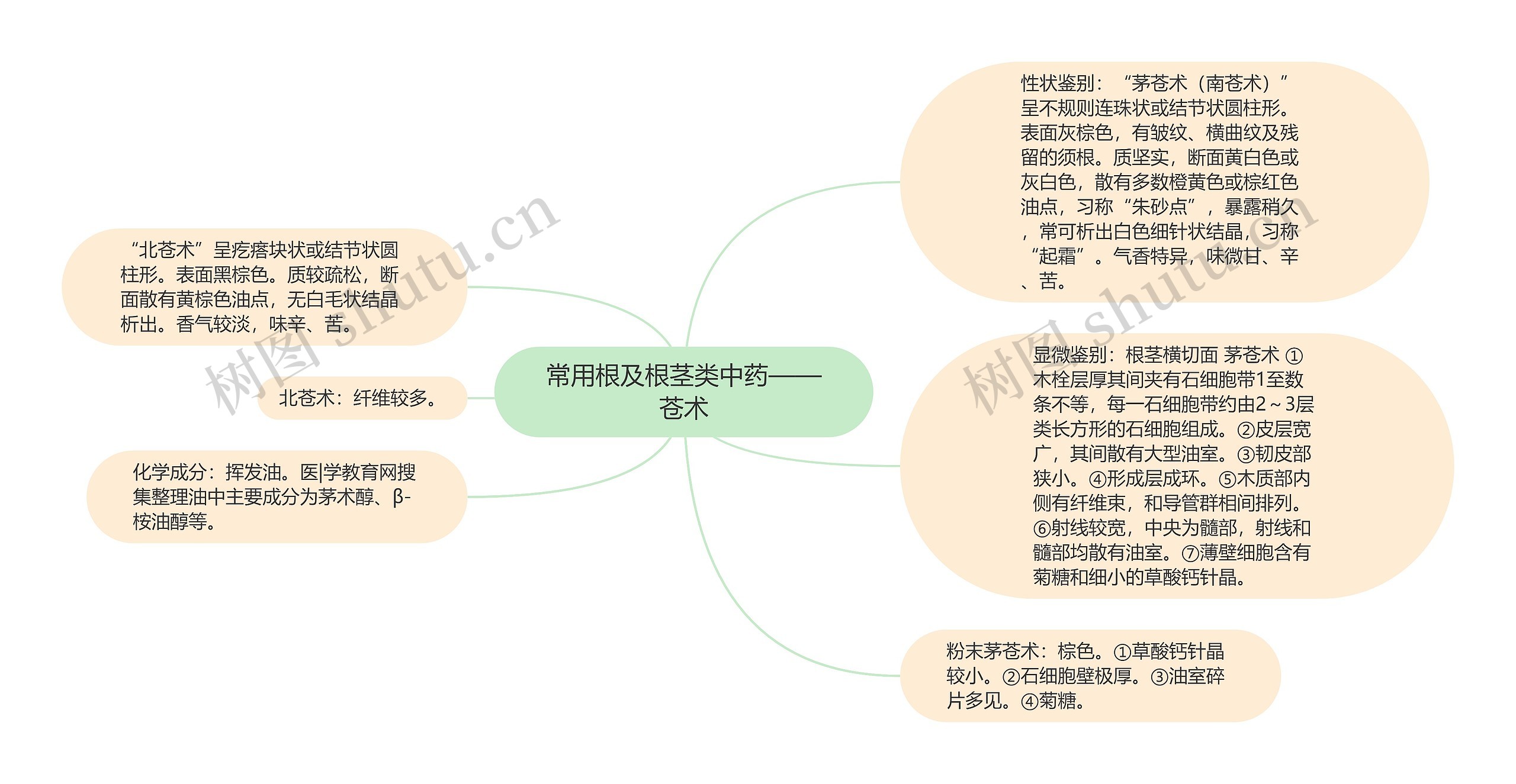 常用根及根茎类中药——苍术思维导图