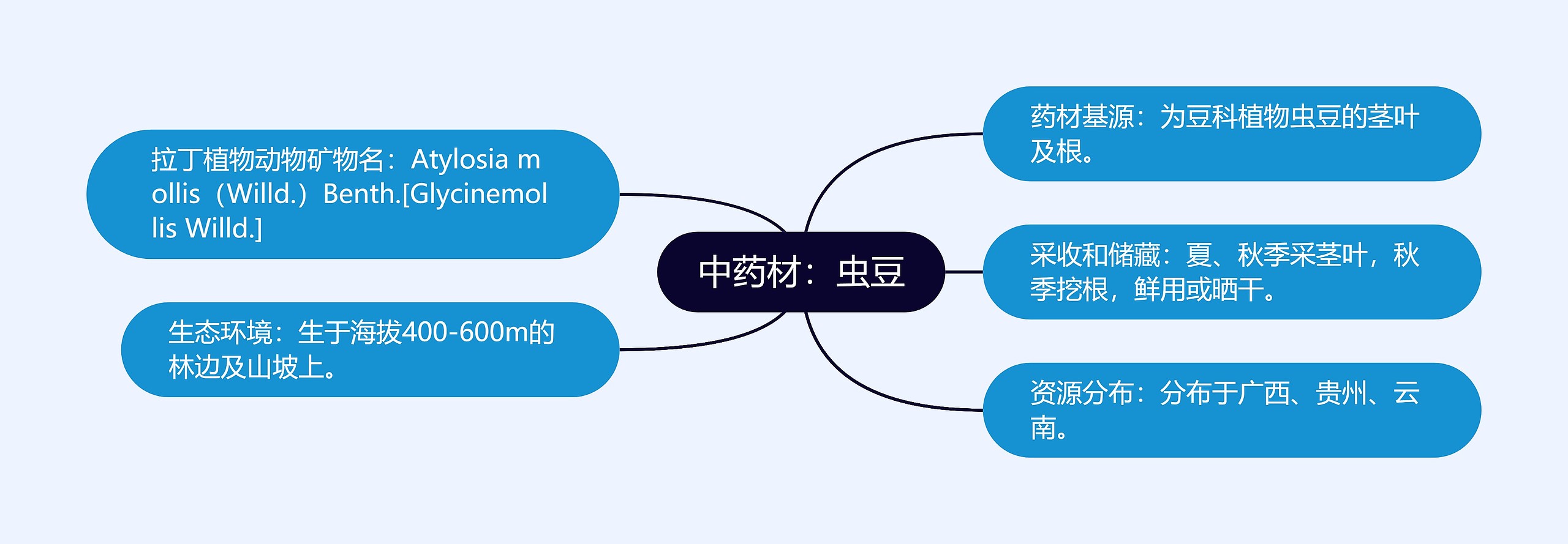 中药材：虫豆思维导图