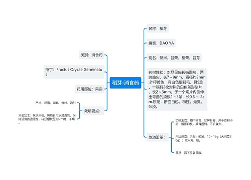 稻芽-消食药思维导图