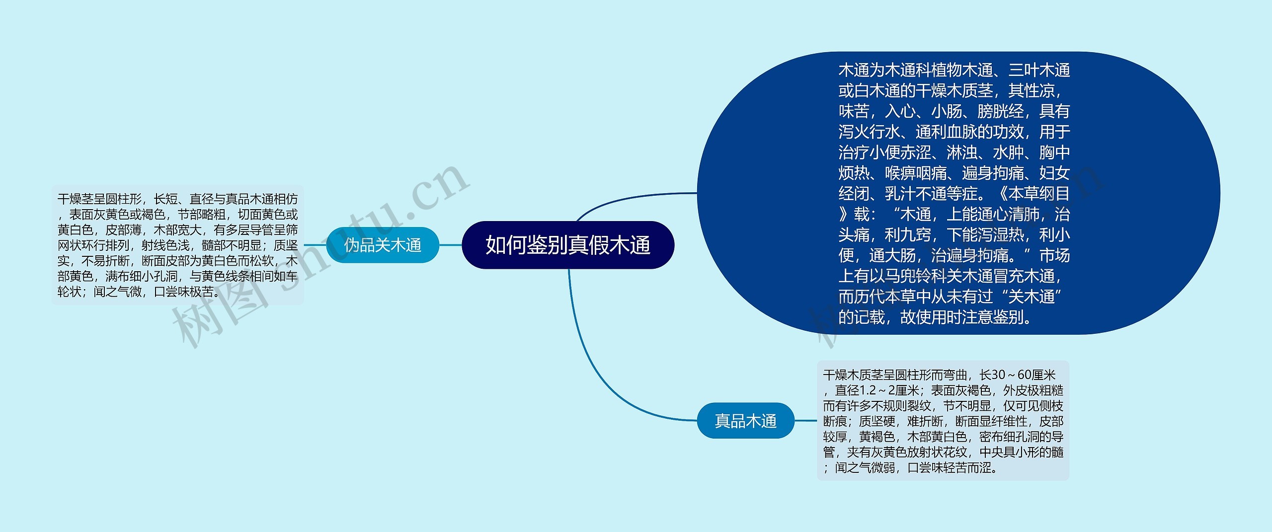 如何鉴别真假木通思维导图