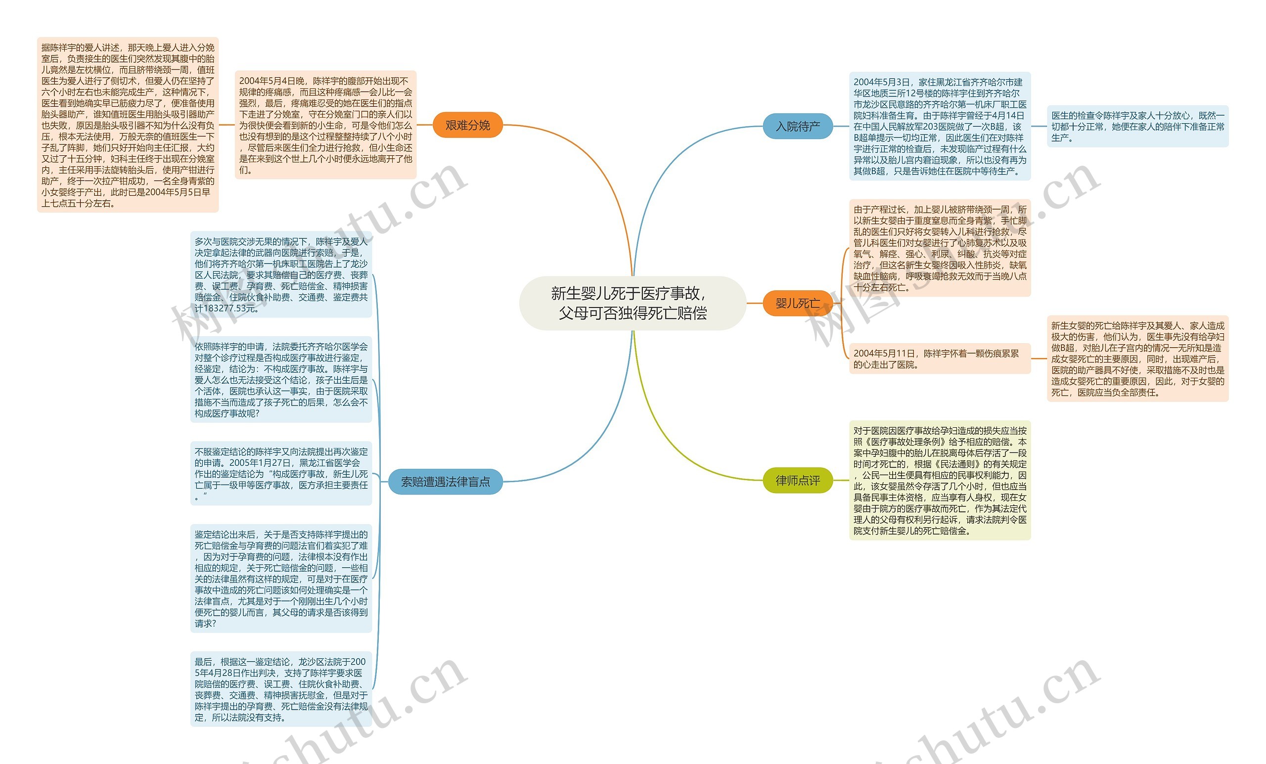 新生婴儿死于医疗事故，父母可否独得死亡赔偿思维导图