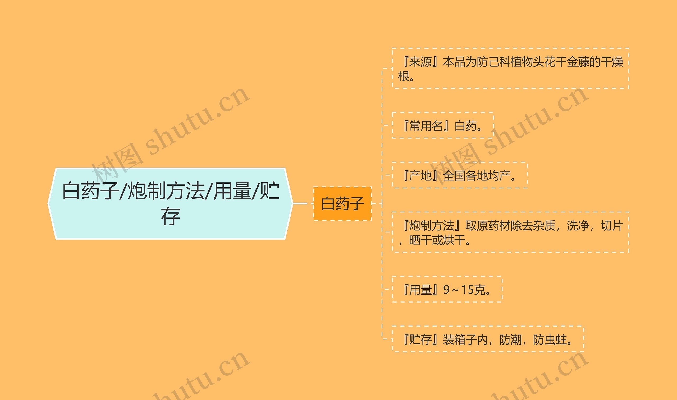 白药子/炮制方法/用量/贮存思维导图