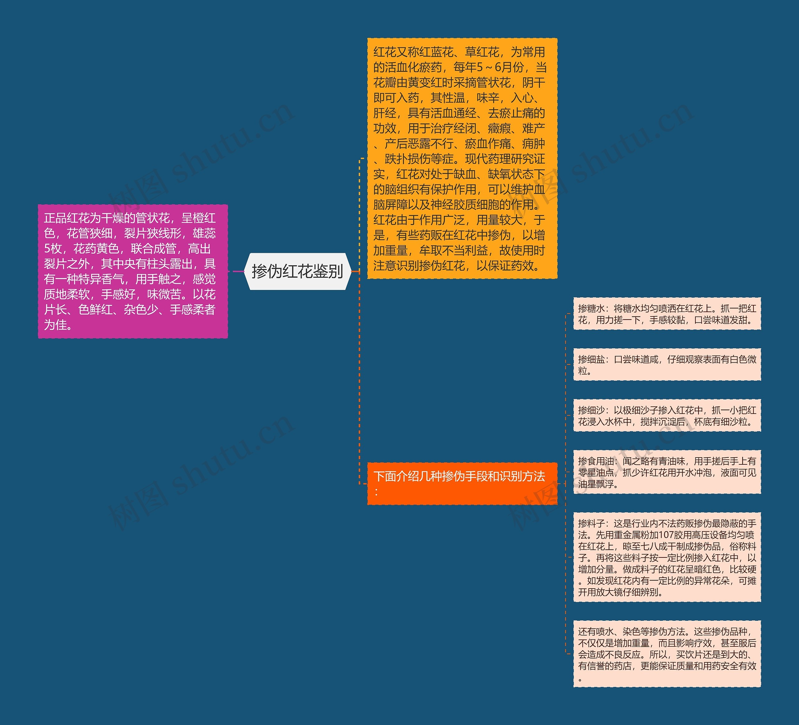 掺伪红花鉴别思维导图