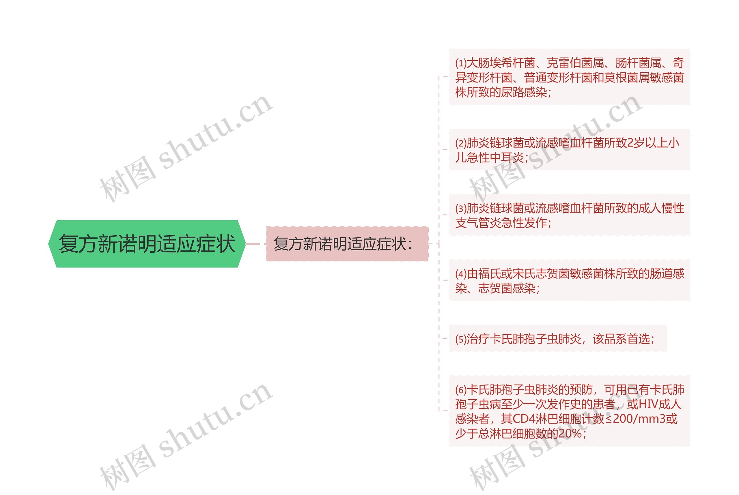 复方新诺明适应症状思维导图