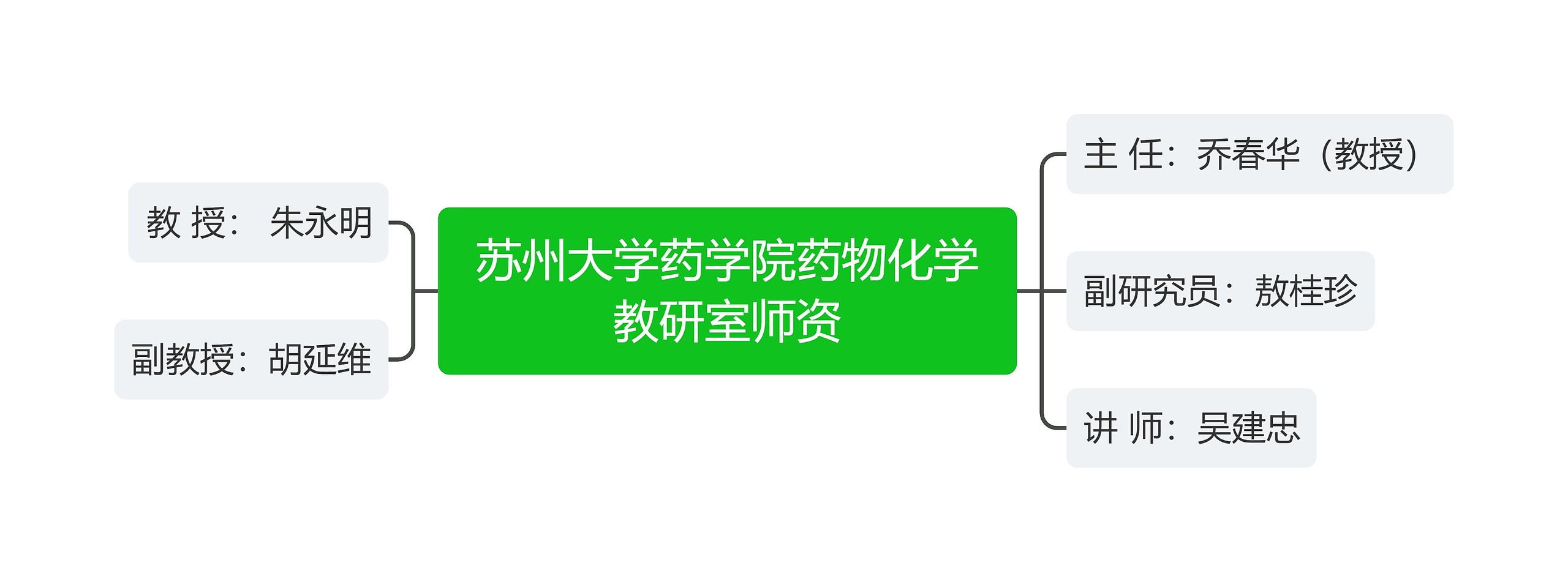 苏州大学药学院药物化学教研室师资