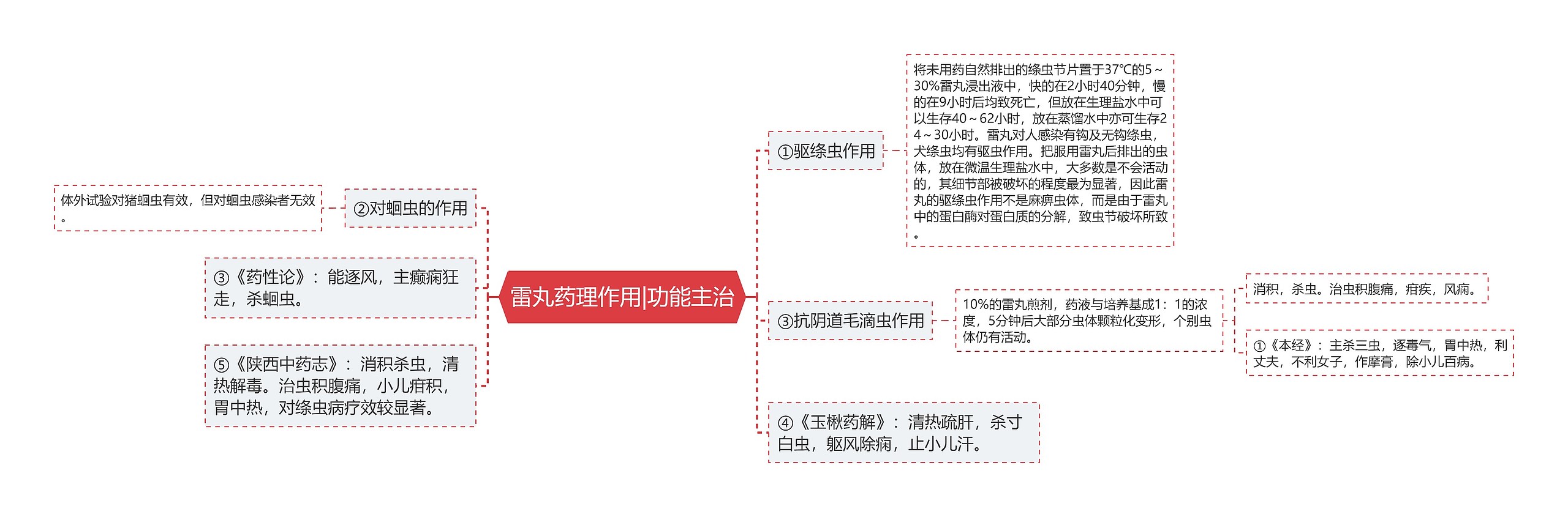 雷丸药理作用|功能主治思维导图