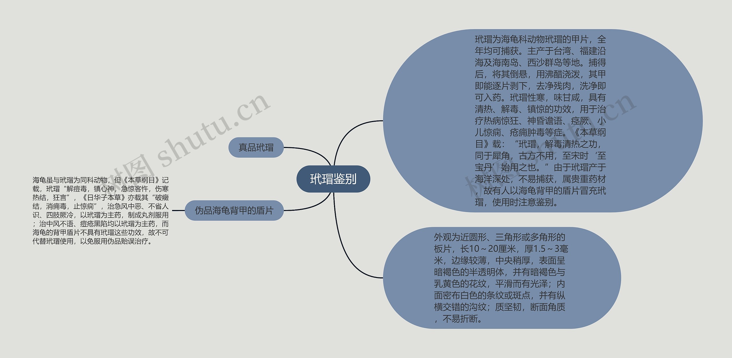 玳瑁鉴别思维导图