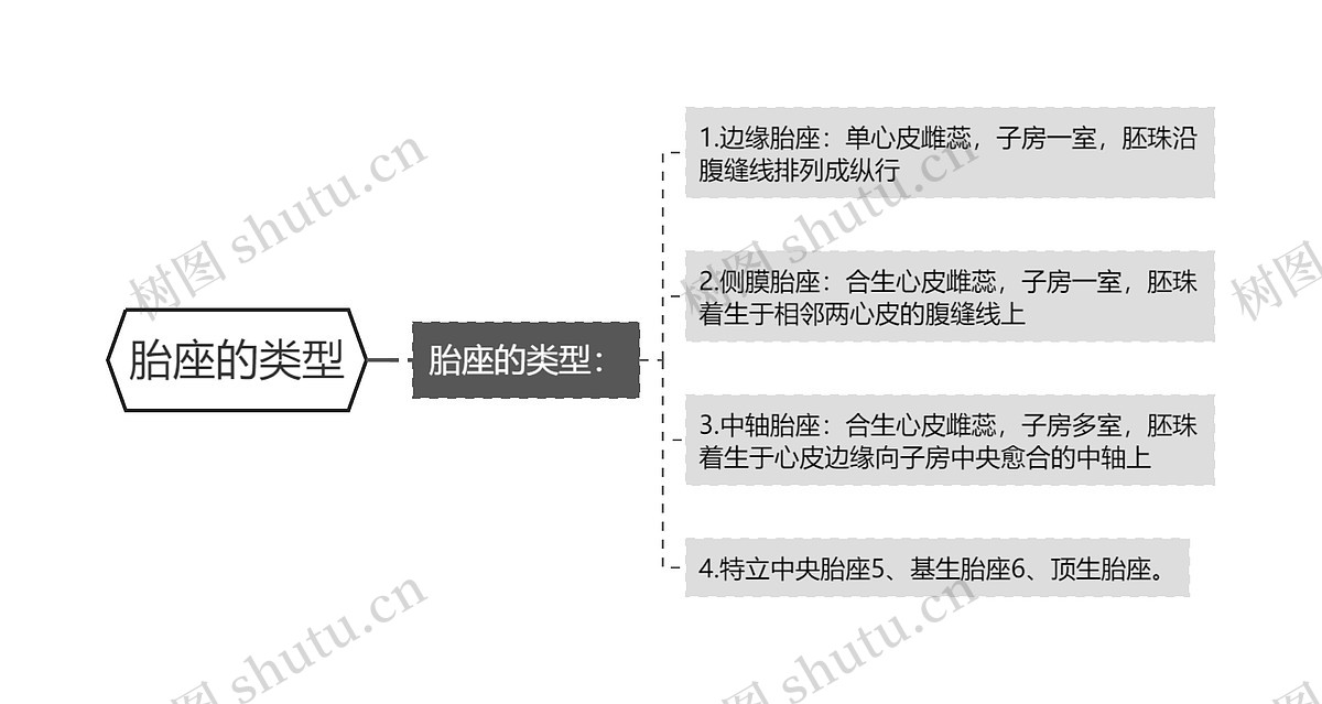 胎座的类型思维导图_编号p7375449-TreeMind树图
