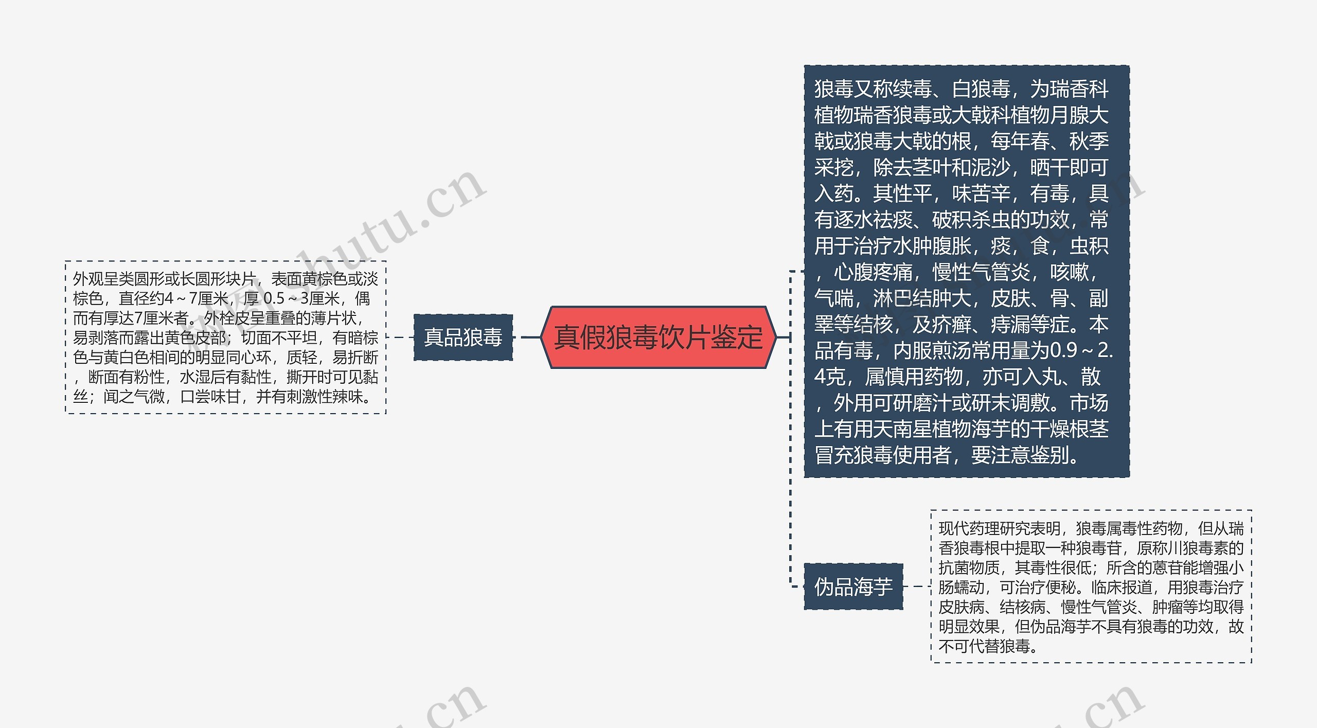 真假狼毒饮片鉴定思维导图