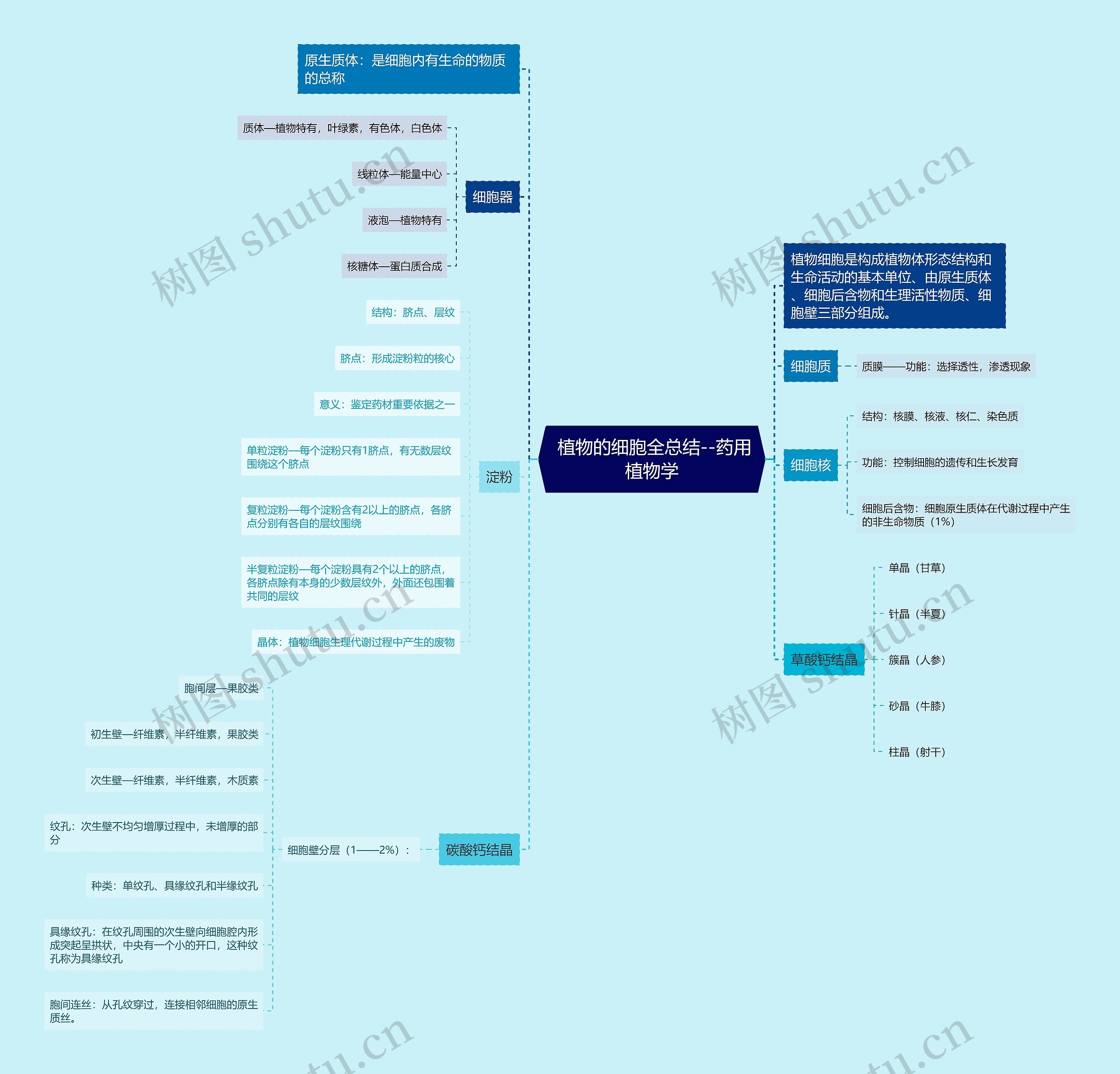  植物的细胞全总结--药用植物学思维导图