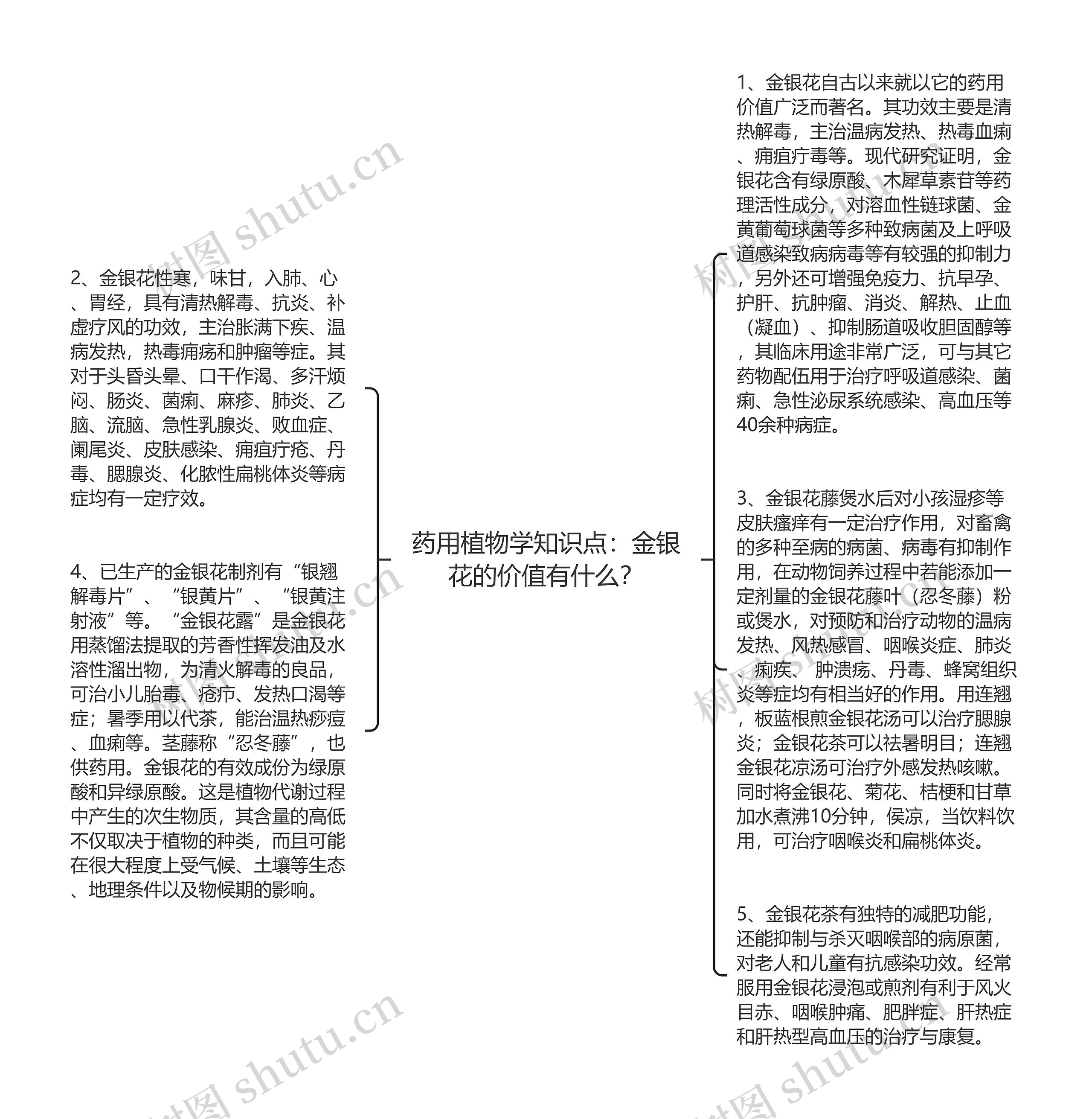 药用植物学知识点：金银花的价值有什么？