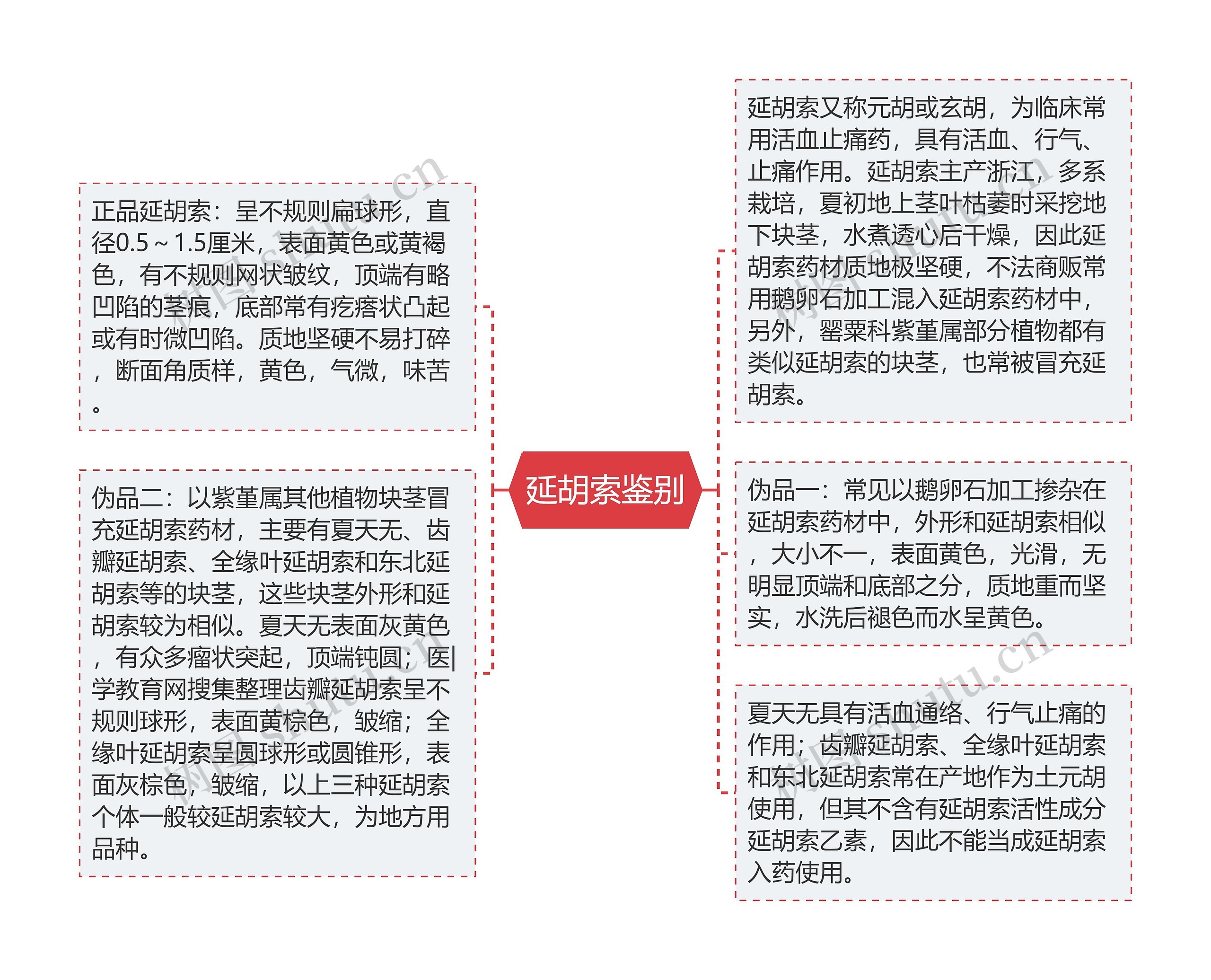 延胡索鉴别思维导图