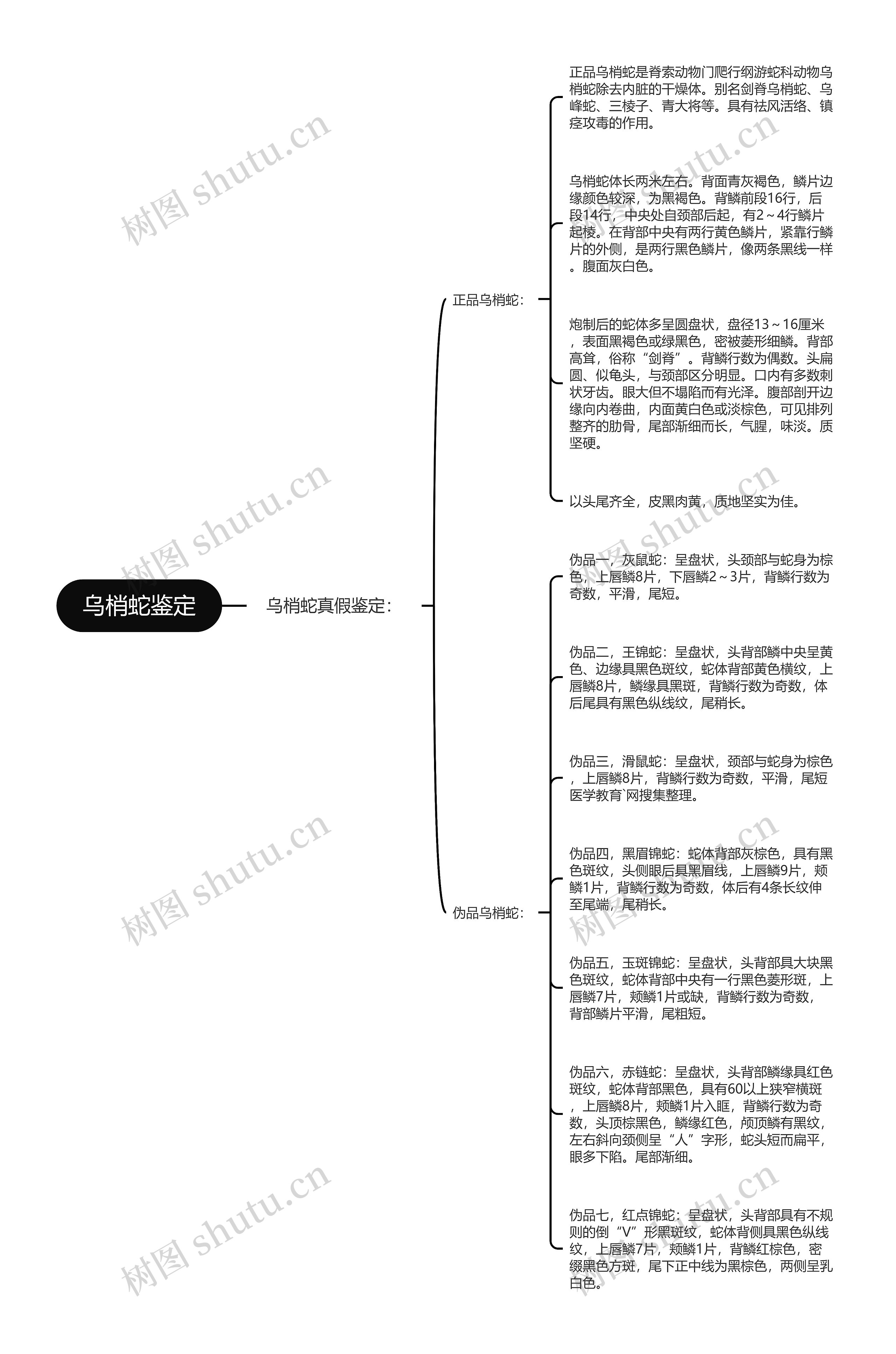 乌梢蛇鉴定思维导图