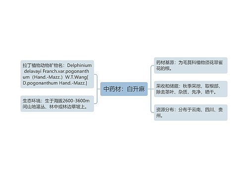 中药材：白升麻思维导图