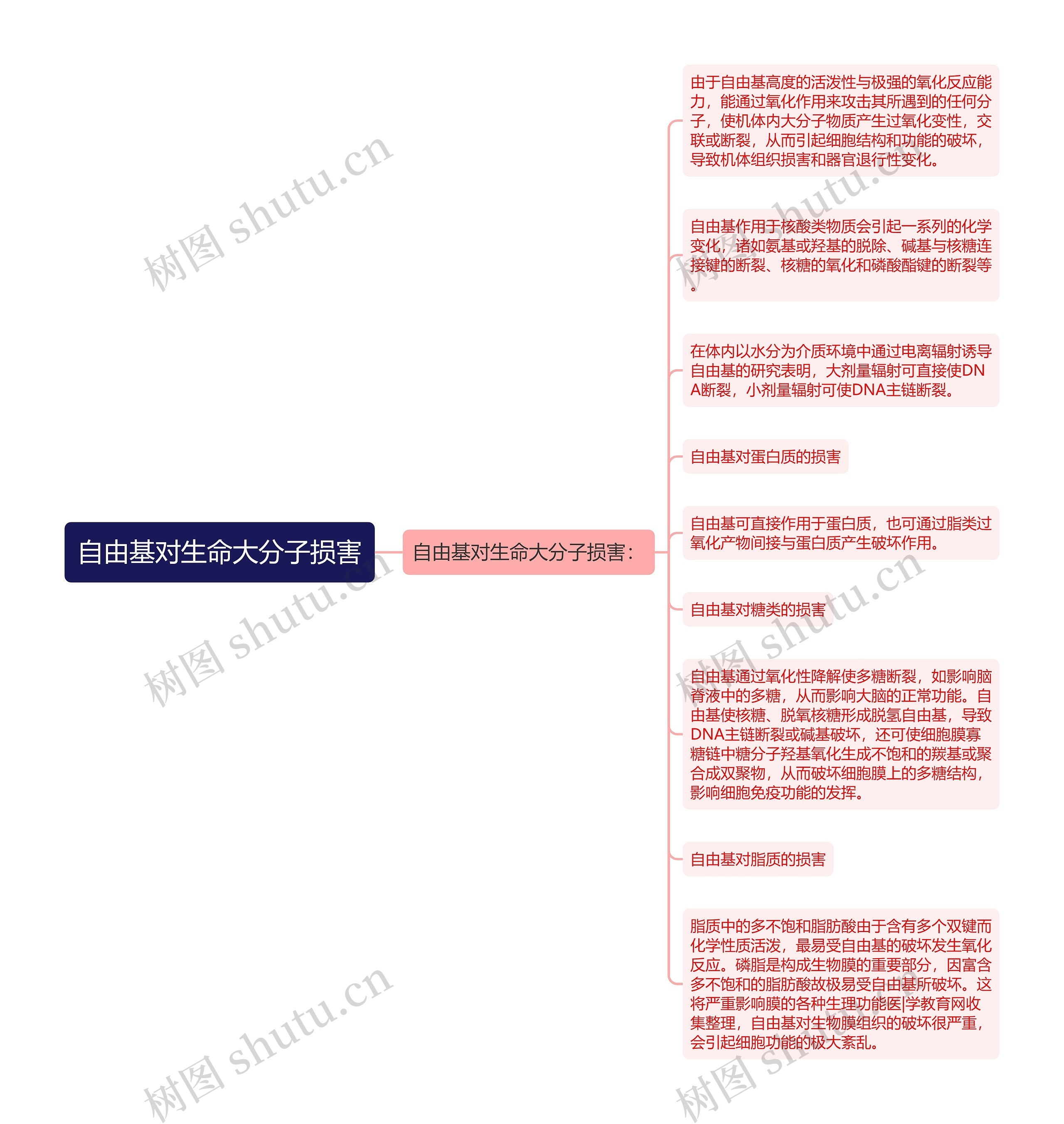 自由基对生命大分子损害