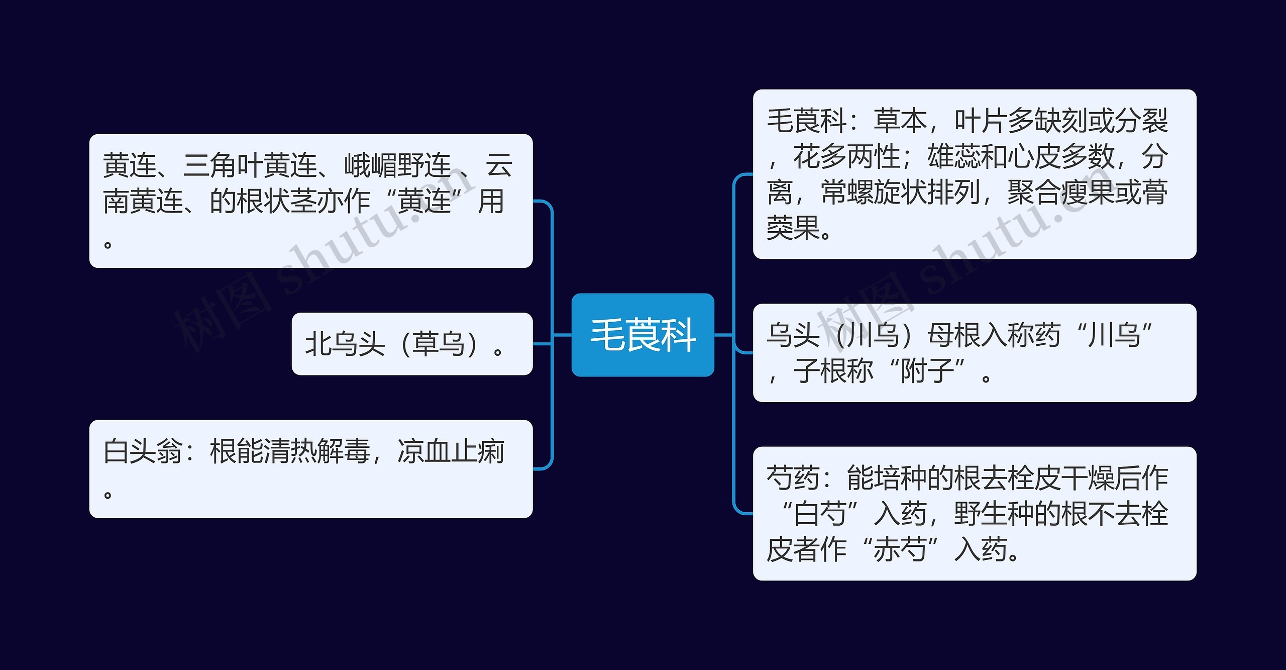 毛莨科思维导图