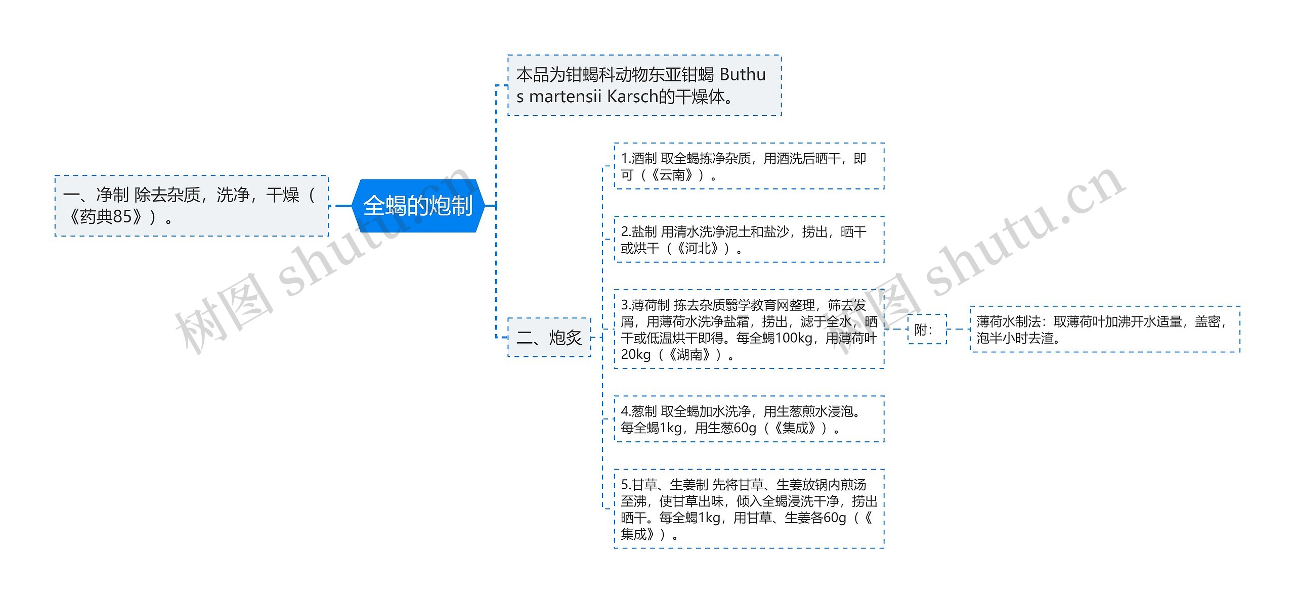 全蝎的炮制思维导图