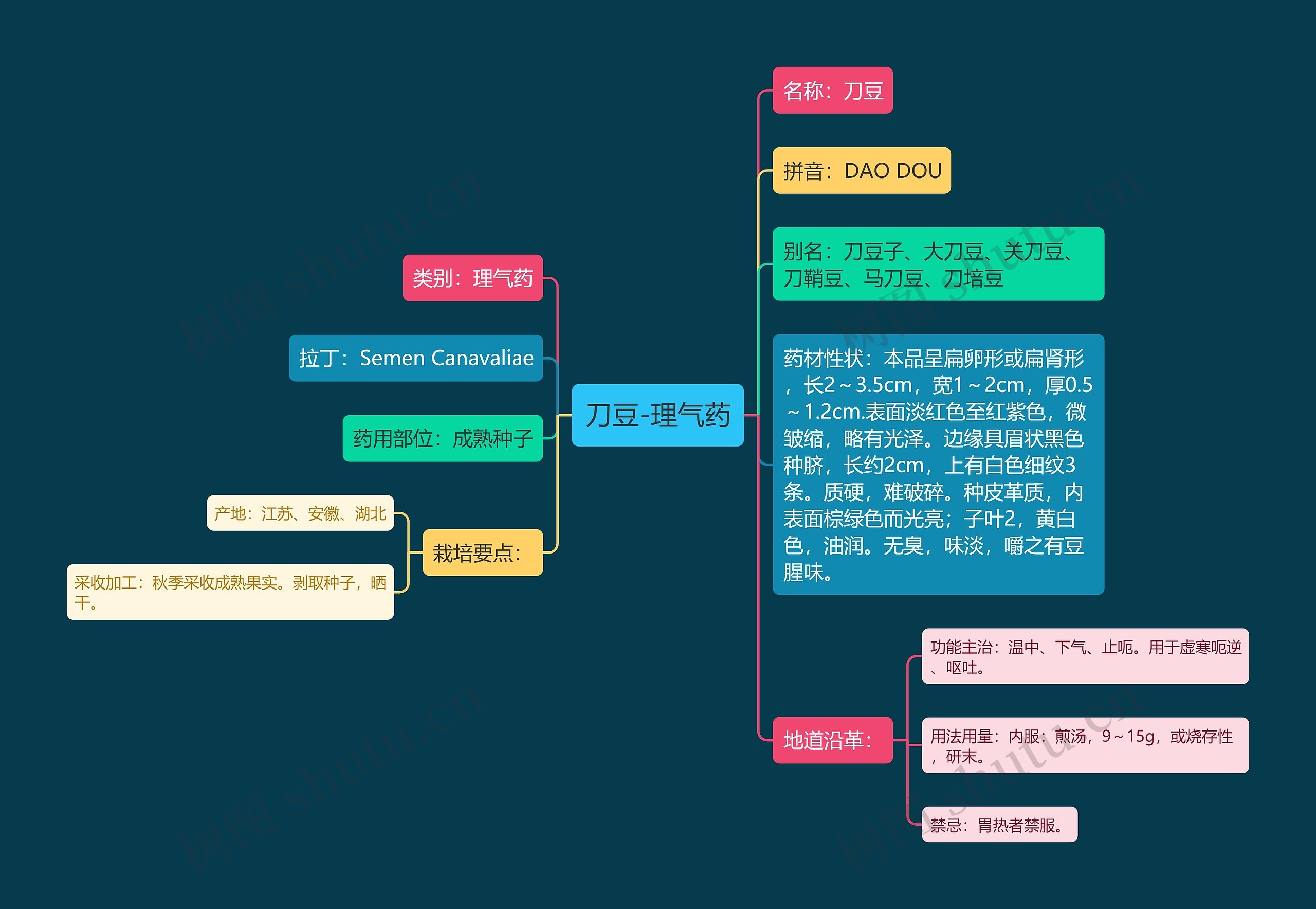 刀豆-理气药 刀豆-理气药