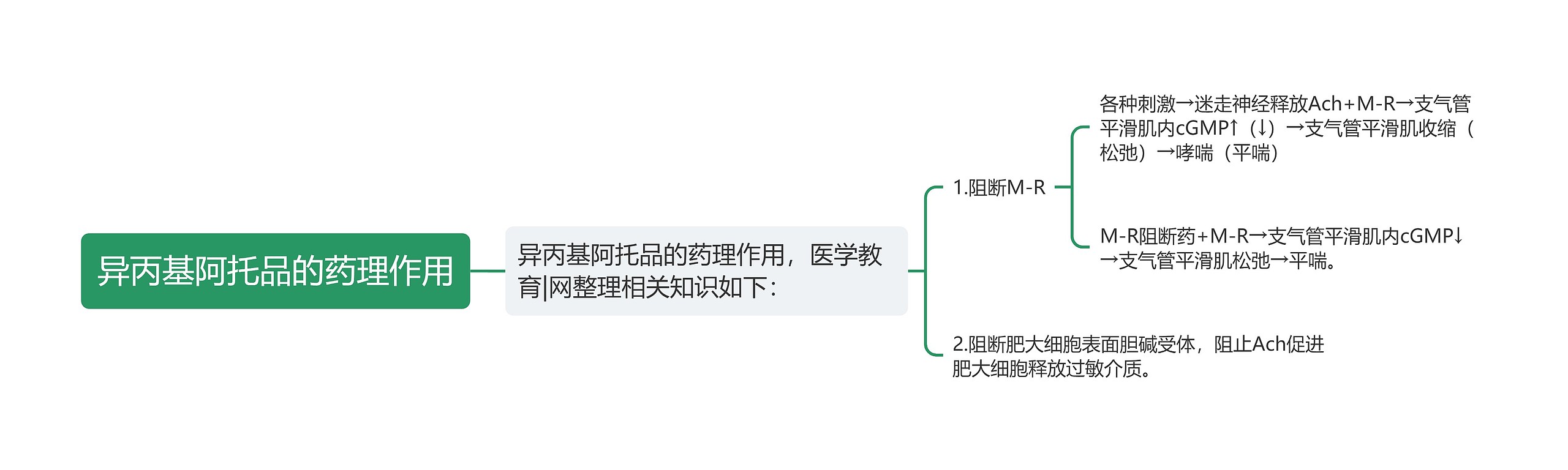 异丙基阿托品的药理作用思维导图