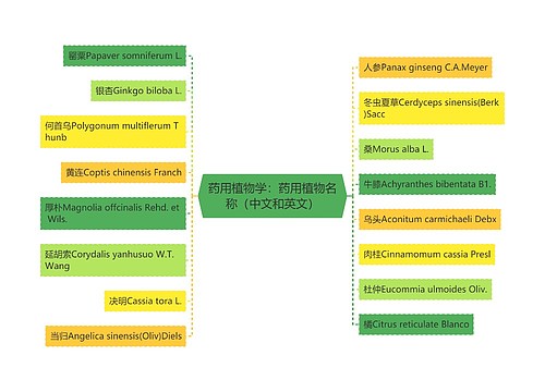药用植物学：药用植物名称（中文和英文）