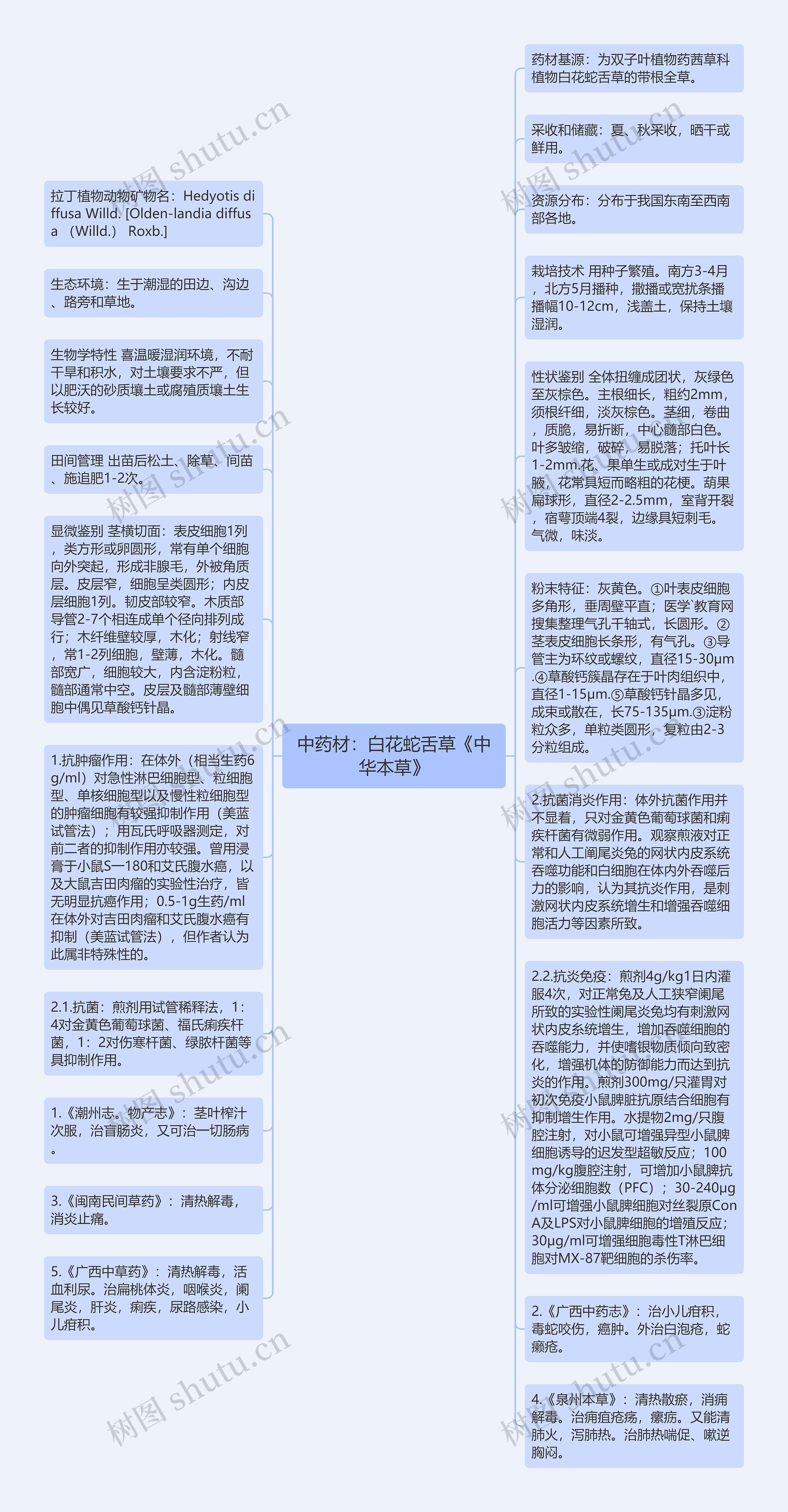 中药材：白花蛇舌草《中华本草》思维导图