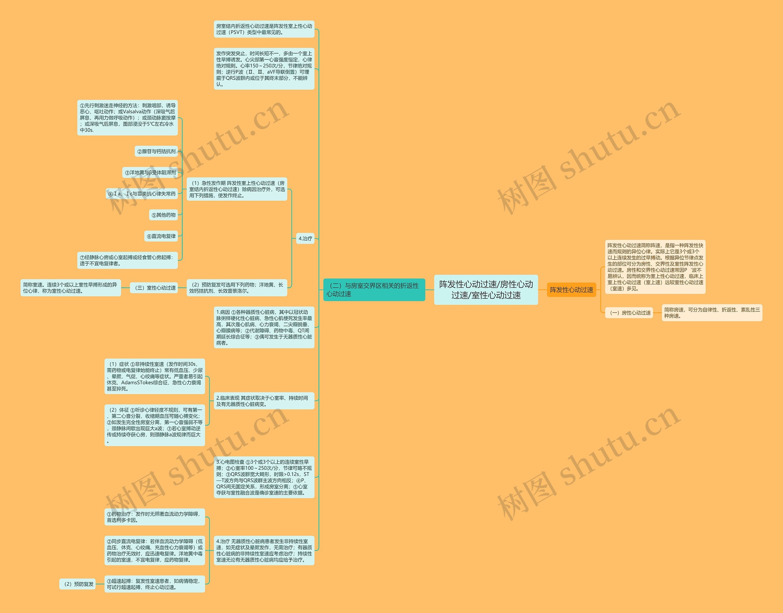阵发性心动过速/房性心动过速/室性心动过速思维导图