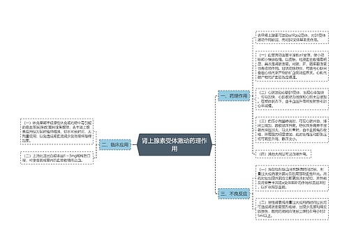 肾上腺素受体激动药理作用