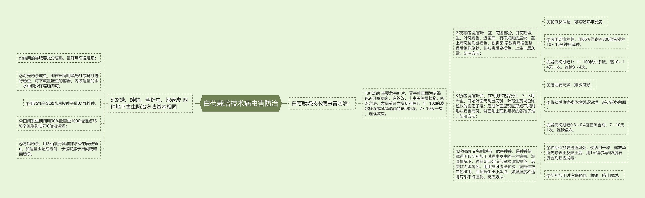 白芍栽培技术病虫害防治 白芍栽培技术病虫害防治