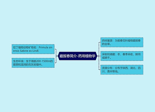 藏报春简介-药用植物学