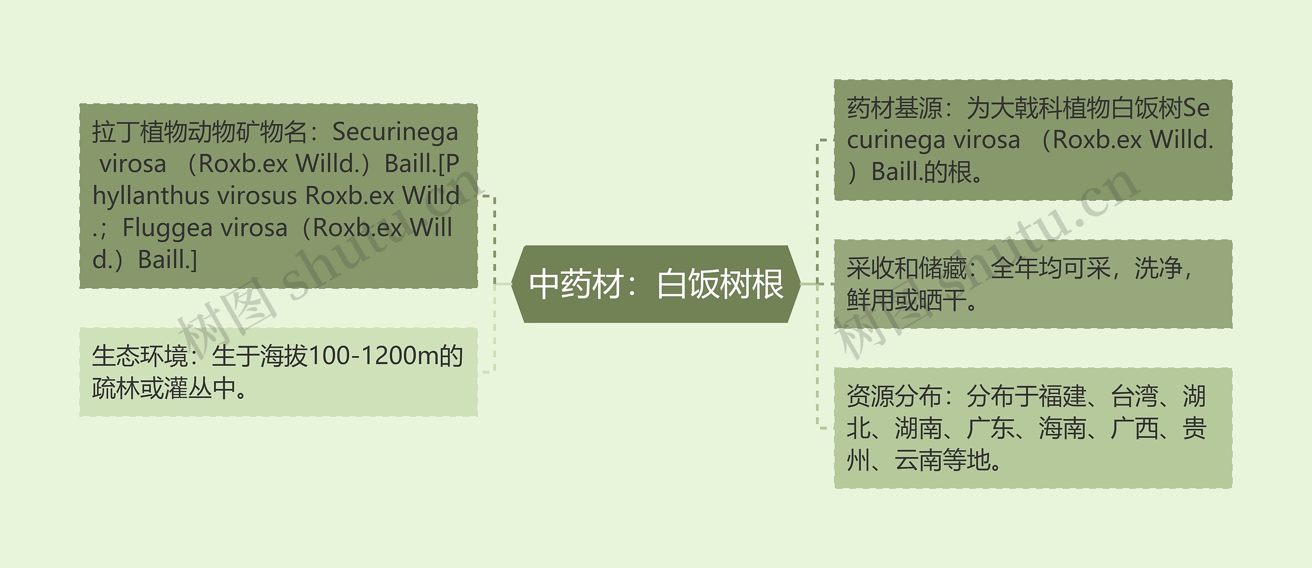 中药材：白饭树根