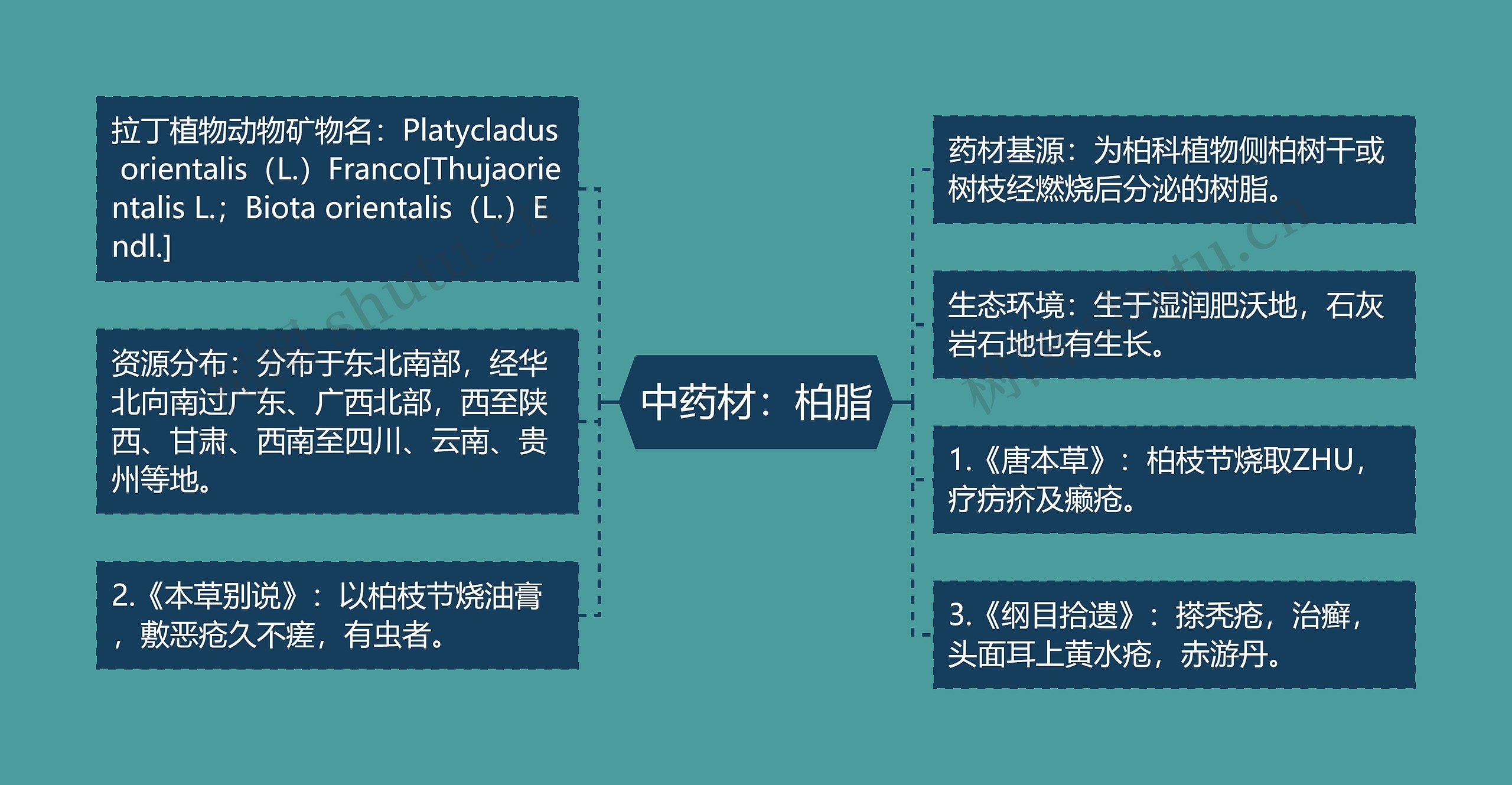 中药材：柏脂