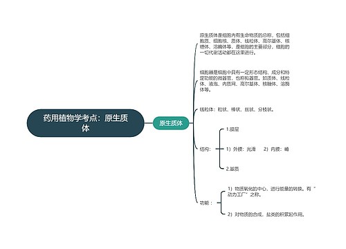 药用植物学考点：原生质体