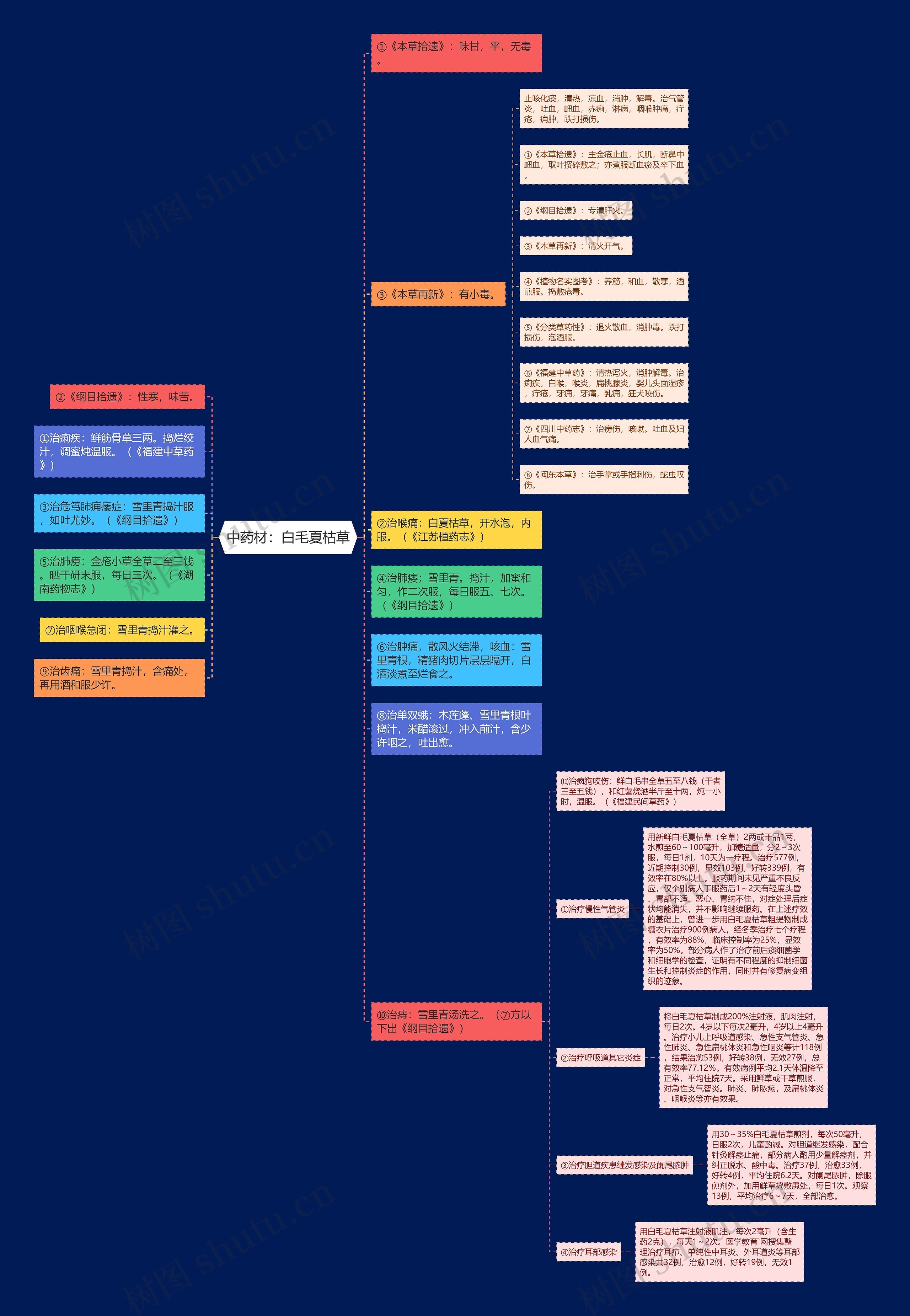 中药材：白毛夏枯草思维导图