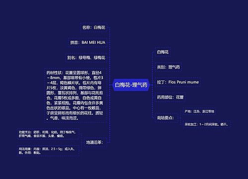 白梅花-理气药