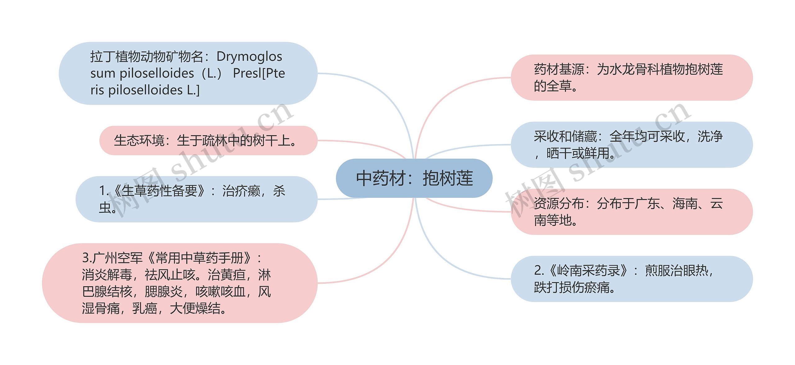 中药材：抱树莲思维导图