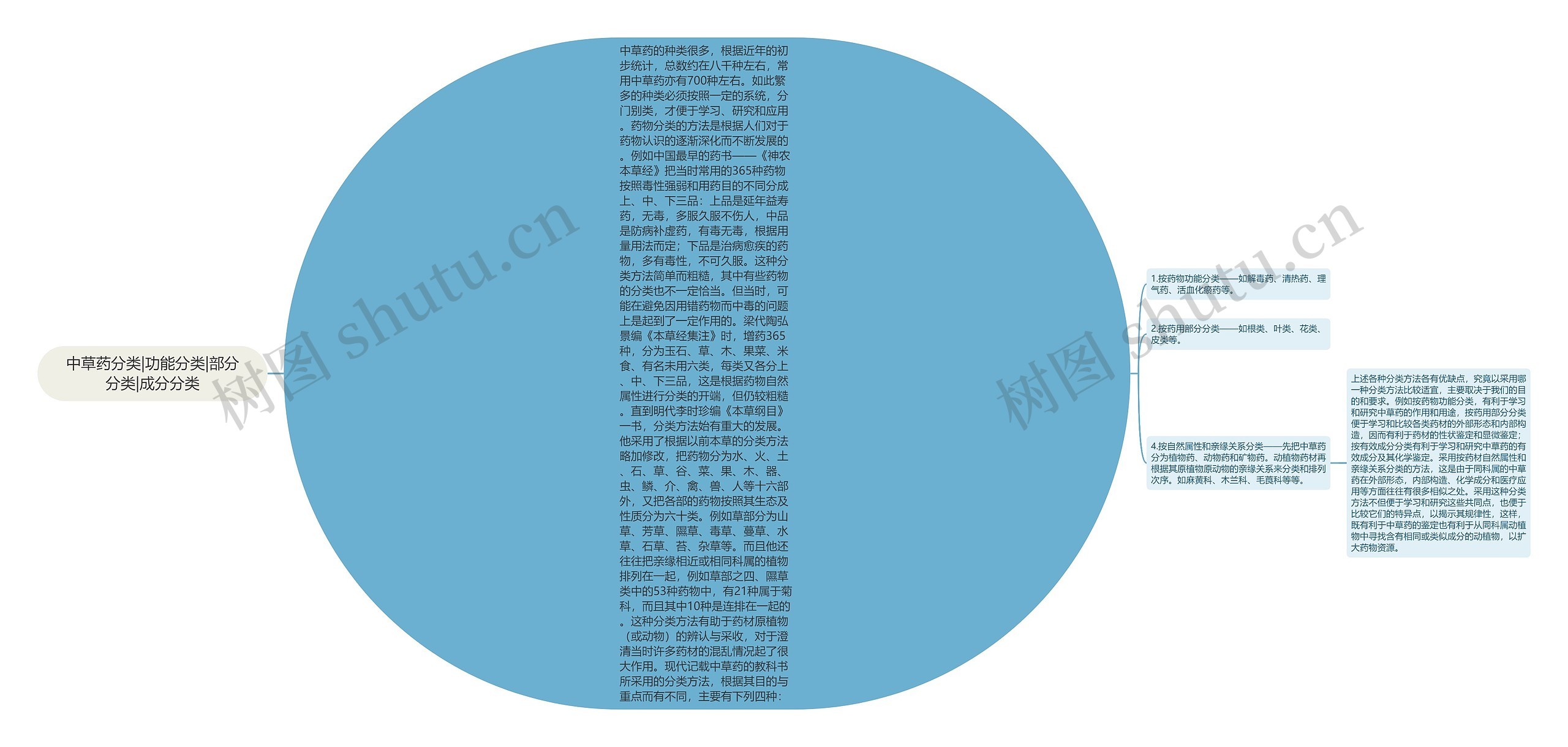 中草药分类|功能分类|部分分类|成分分类思维导图