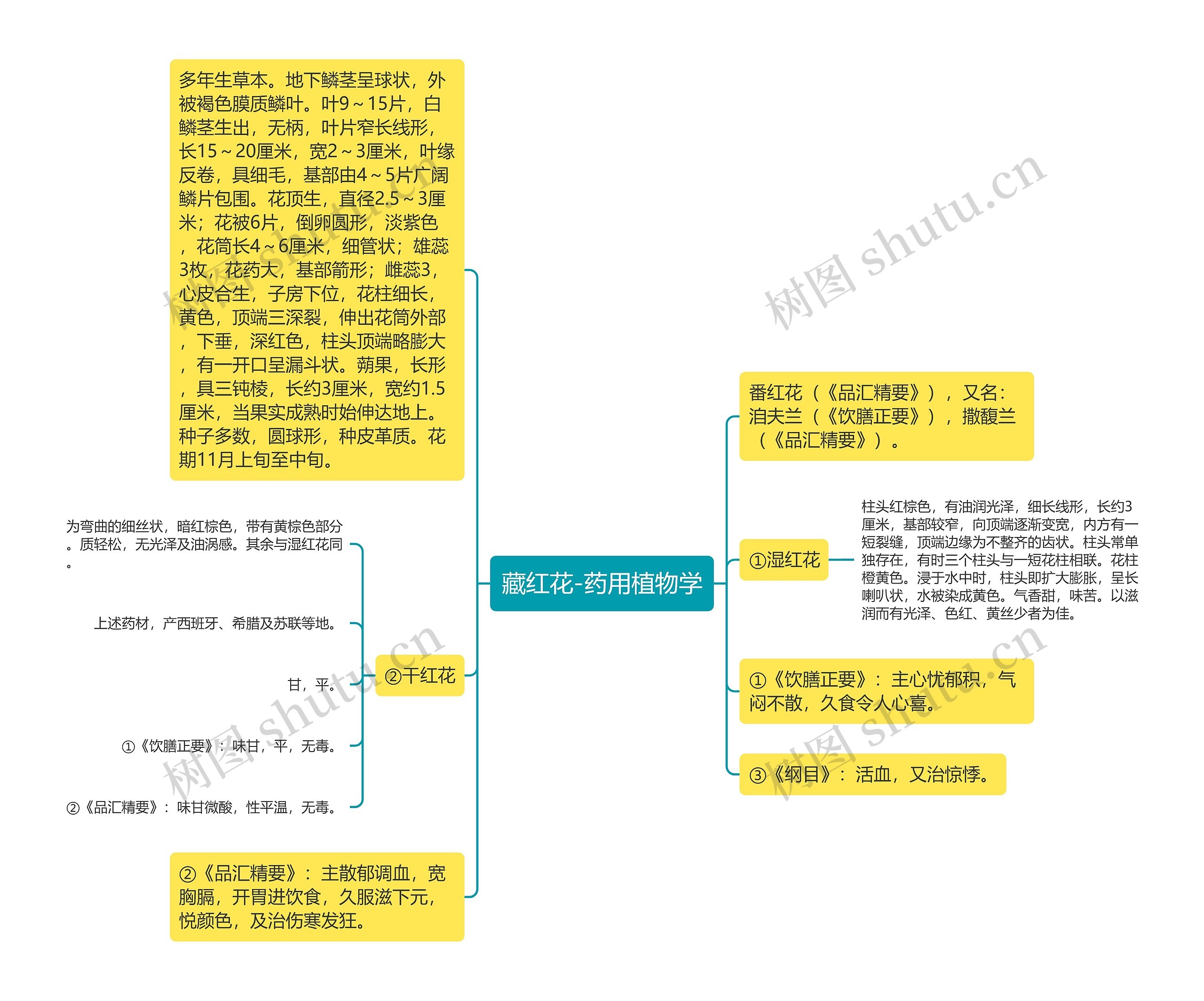 藏红花-药用植物学思维导图