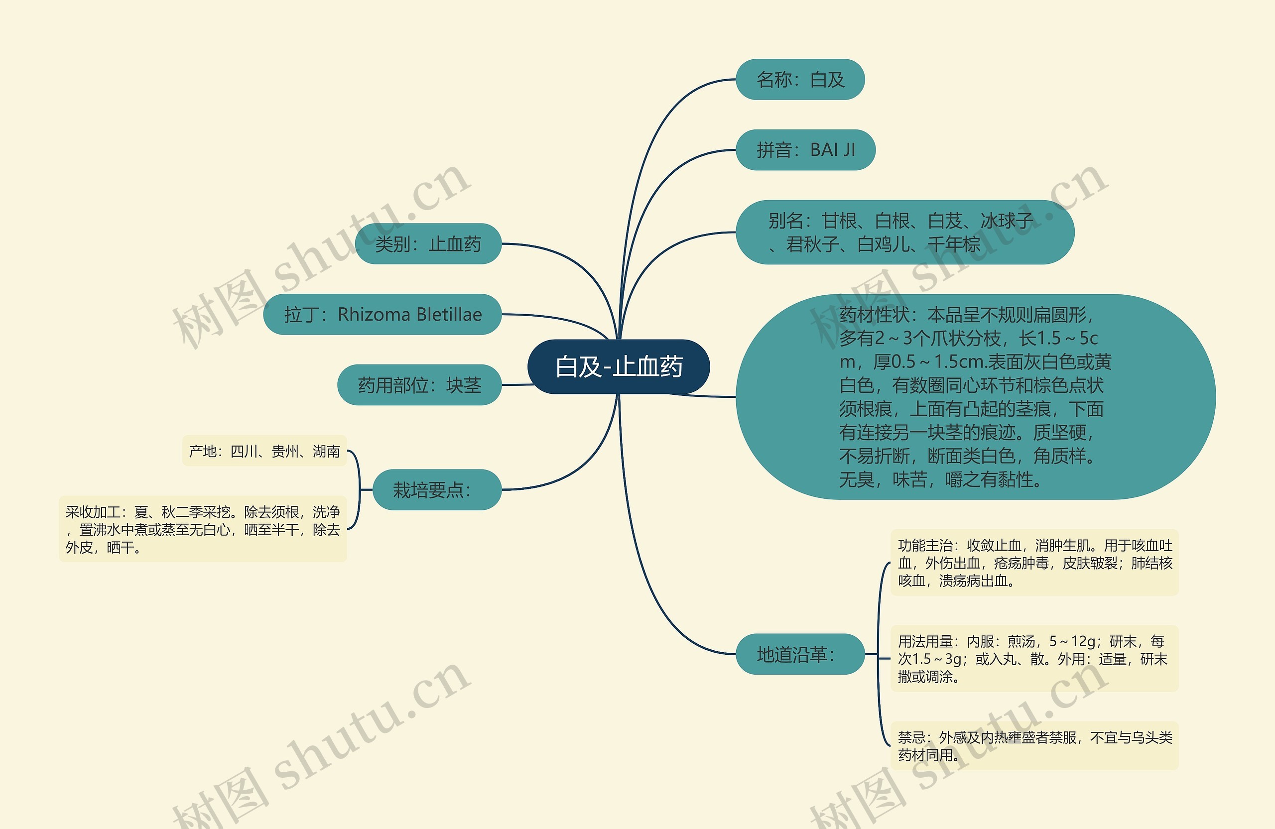 白及-止血药 白及-止血药