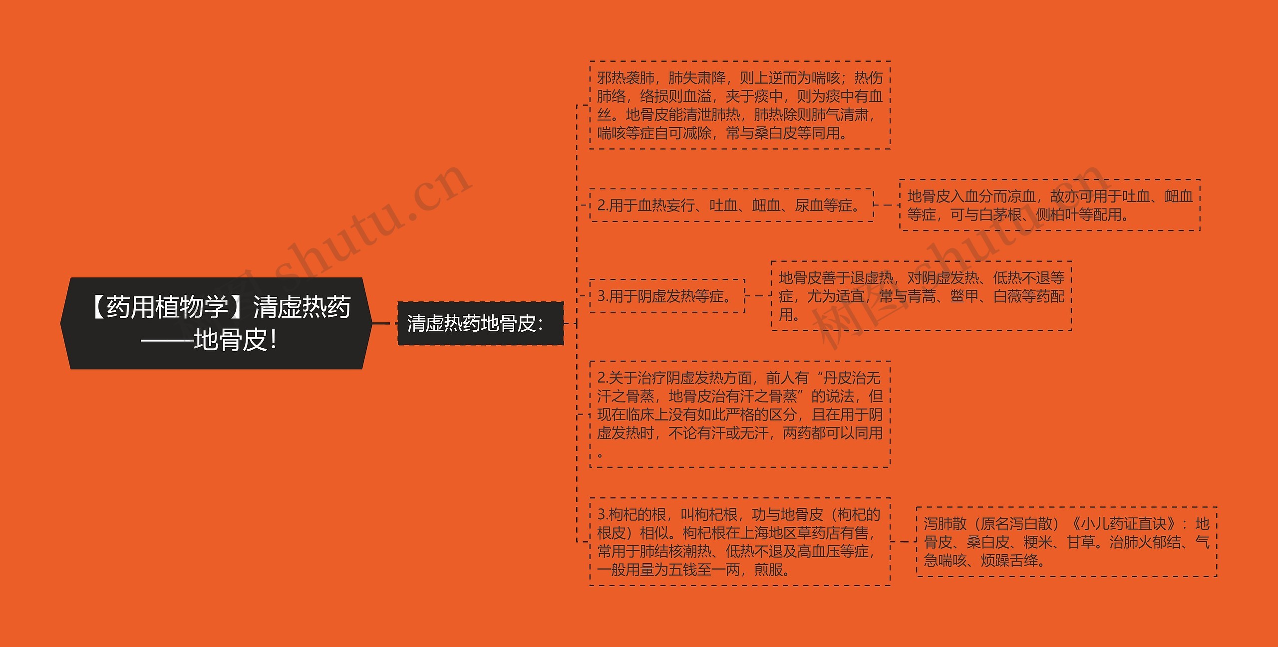 【药用植物学】清虚热药——地骨皮! 【药用植物学】清虚热药——地骨皮!