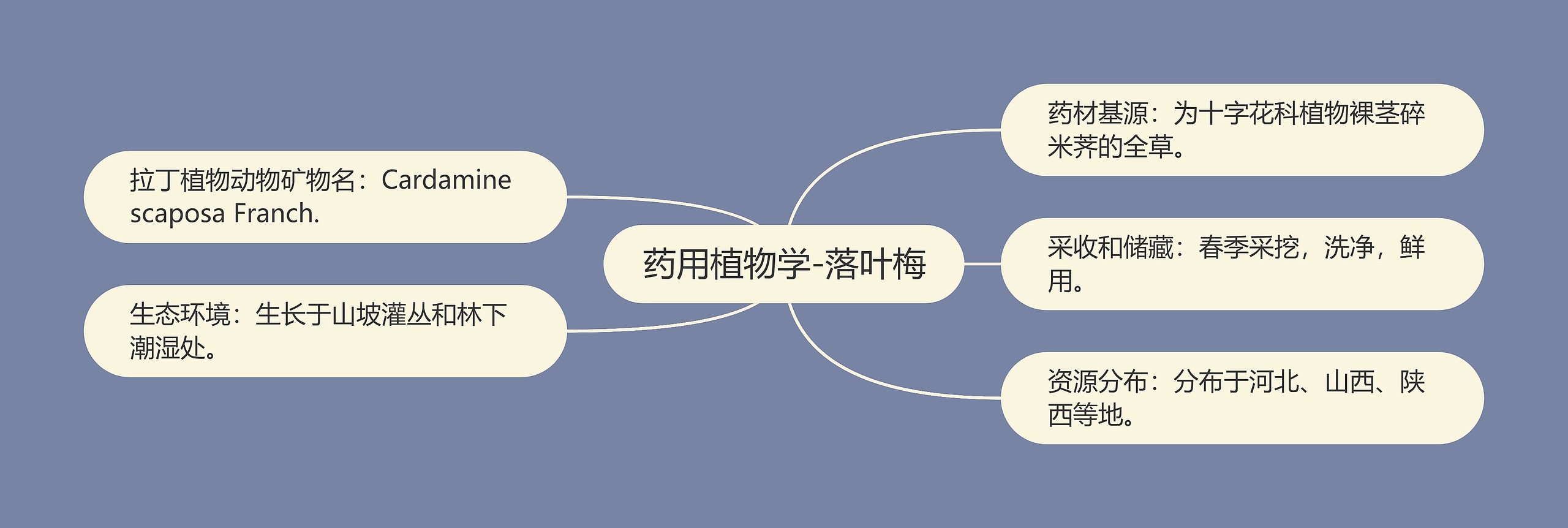 药用植物学-落叶梅 药用植物学-落叶梅