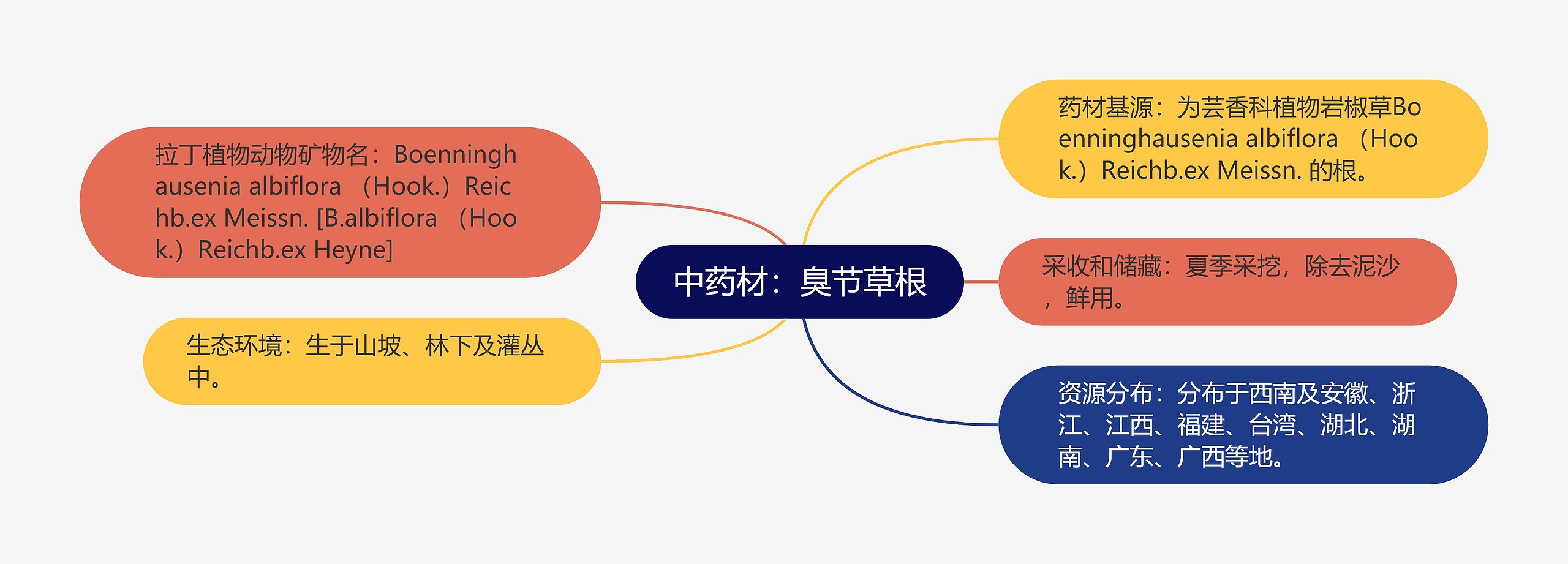 中药材：臭节草根思维导图