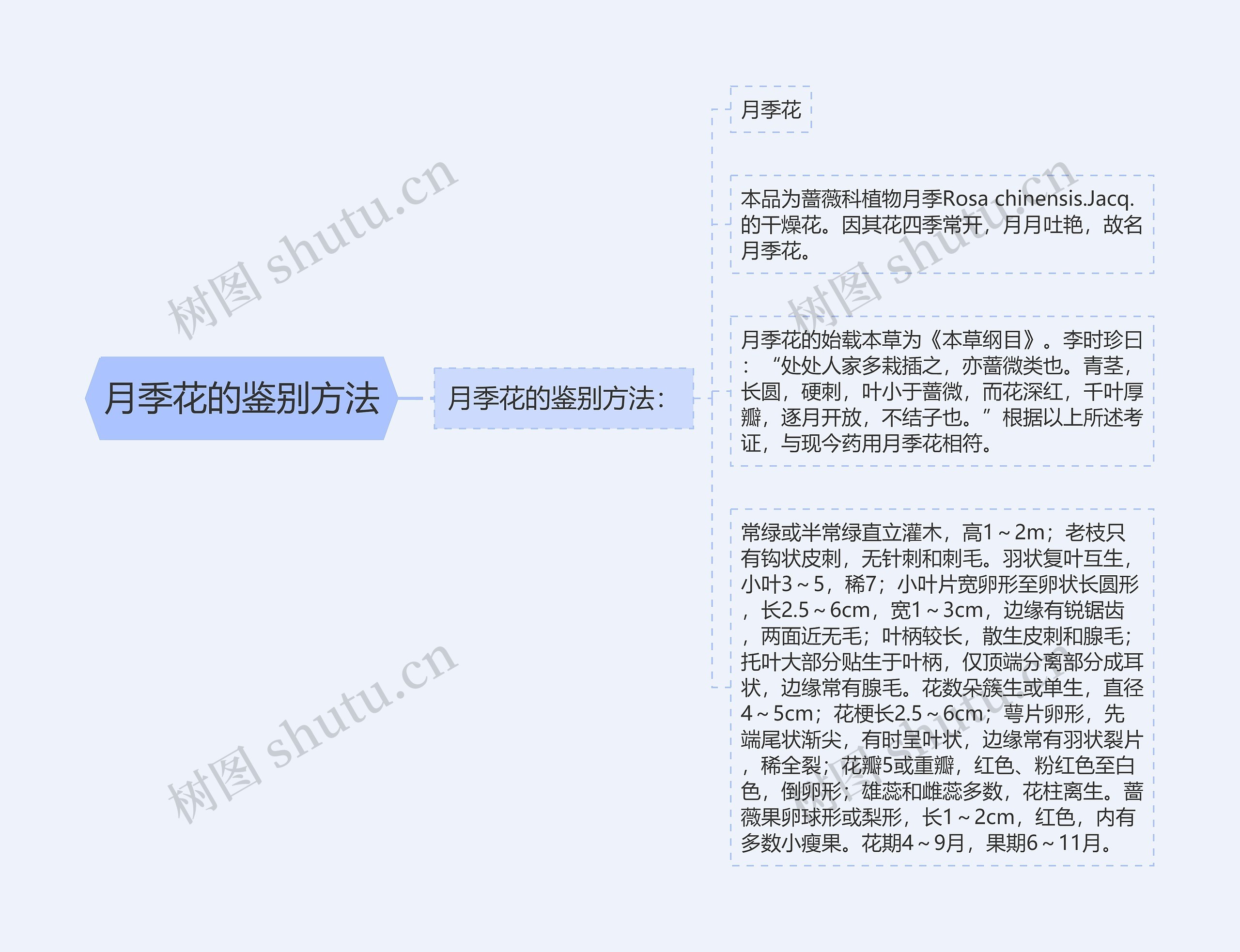 月季花的鉴别方法思维导图