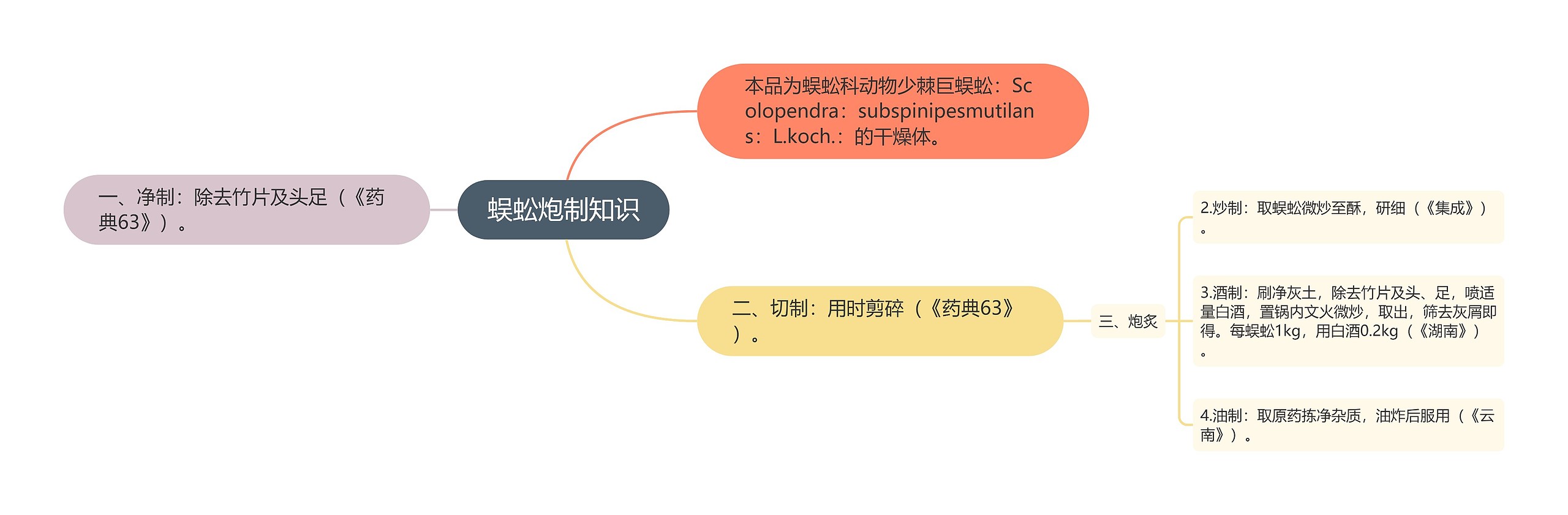 蜈蚣炮制知识思维导图