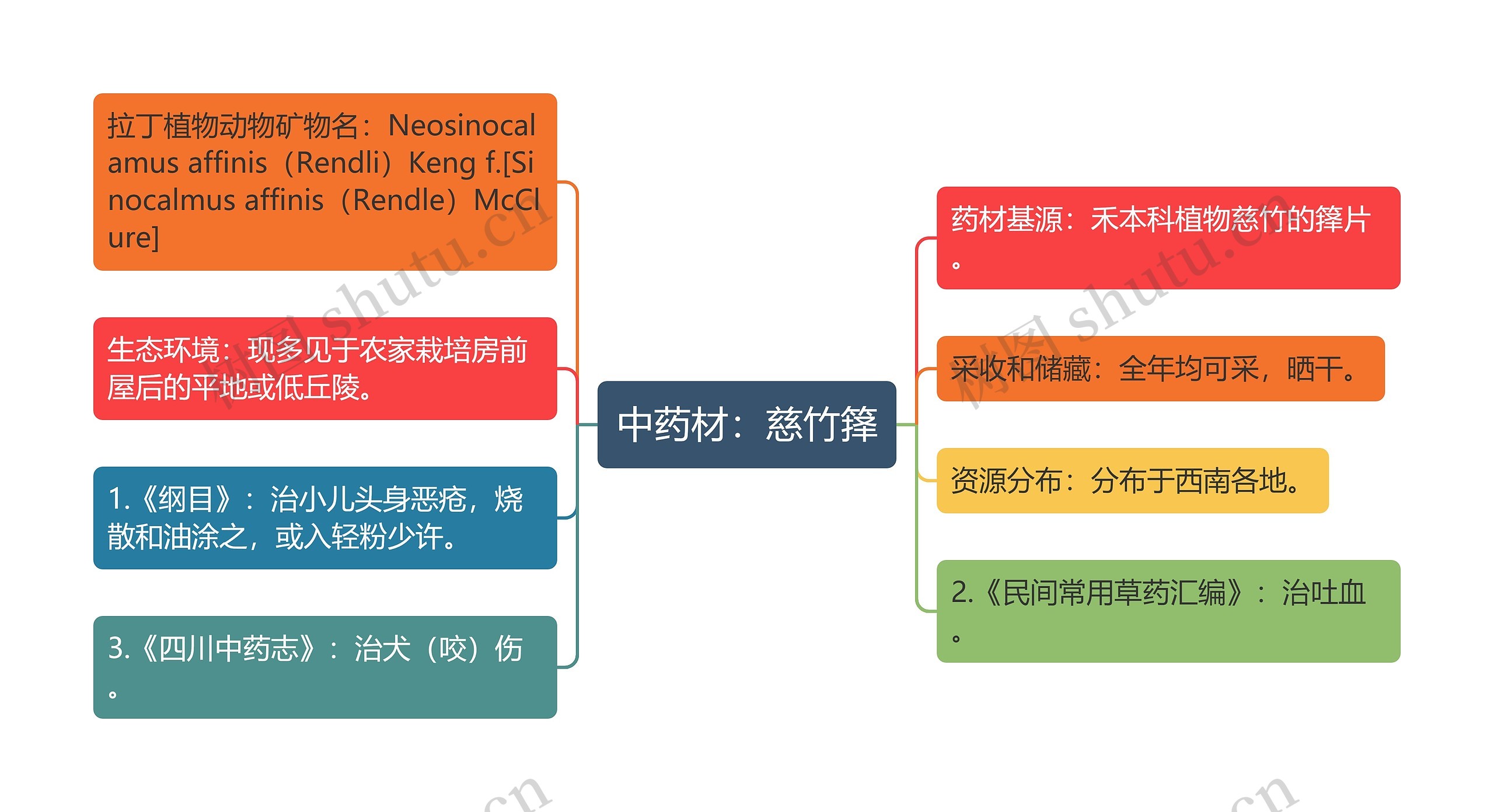 中药材：慈竹箨思维导图