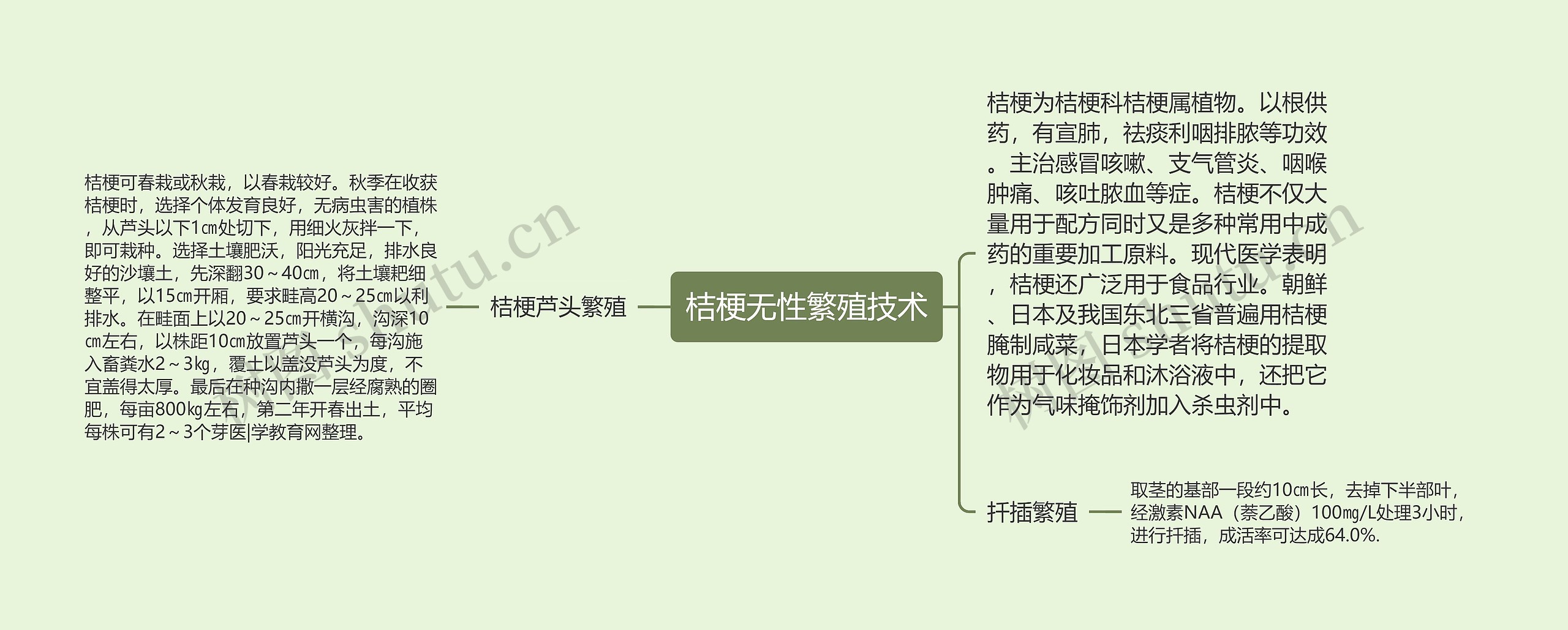 桔梗无性繁殖技术思维导图