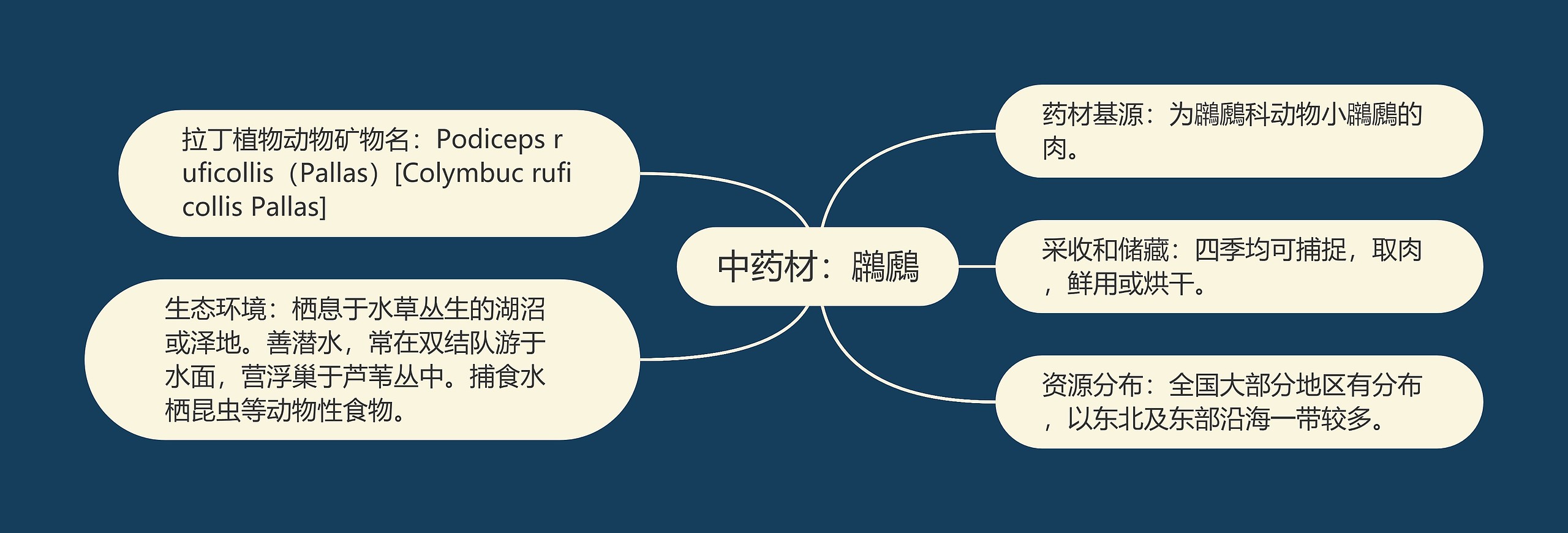 中药材：鸊鷉