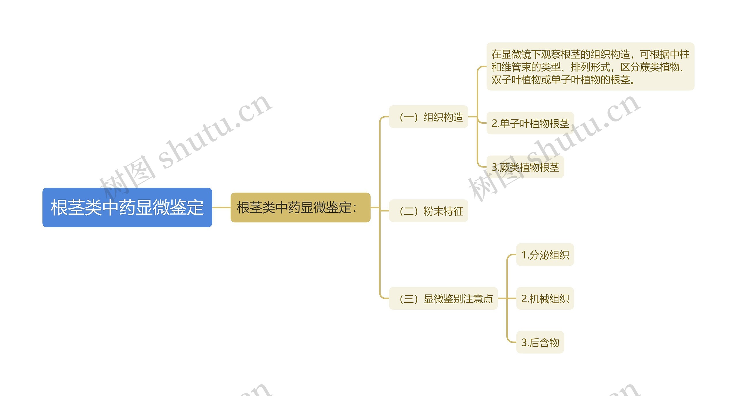 根茎类中药显微鉴定思维导图