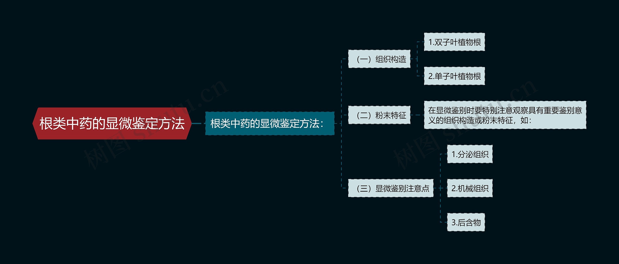 根类中药的显微鉴定方法思维导图